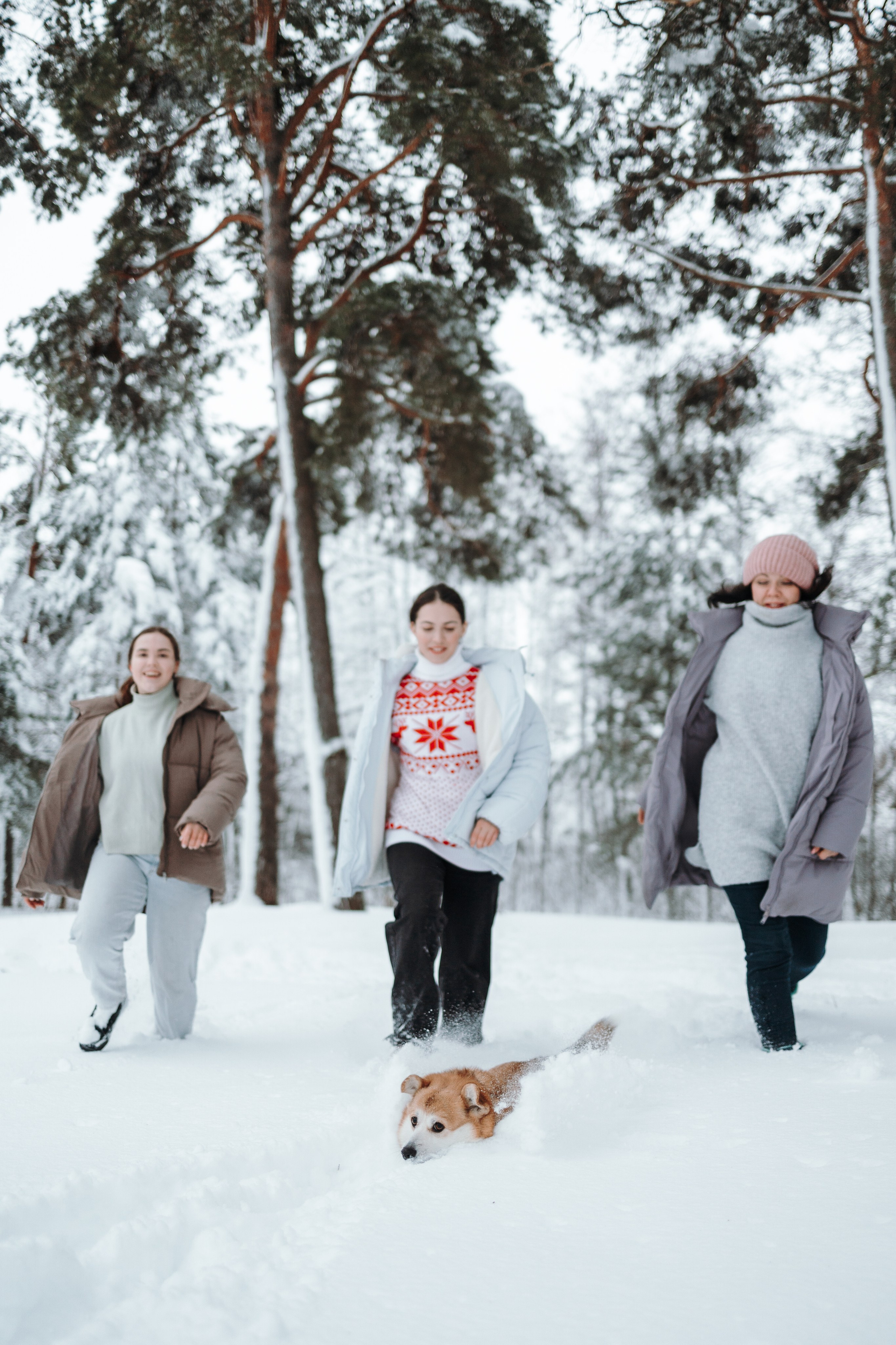 Оливка и ее семья. Фотограф — Анималист | Санкт-Петербург