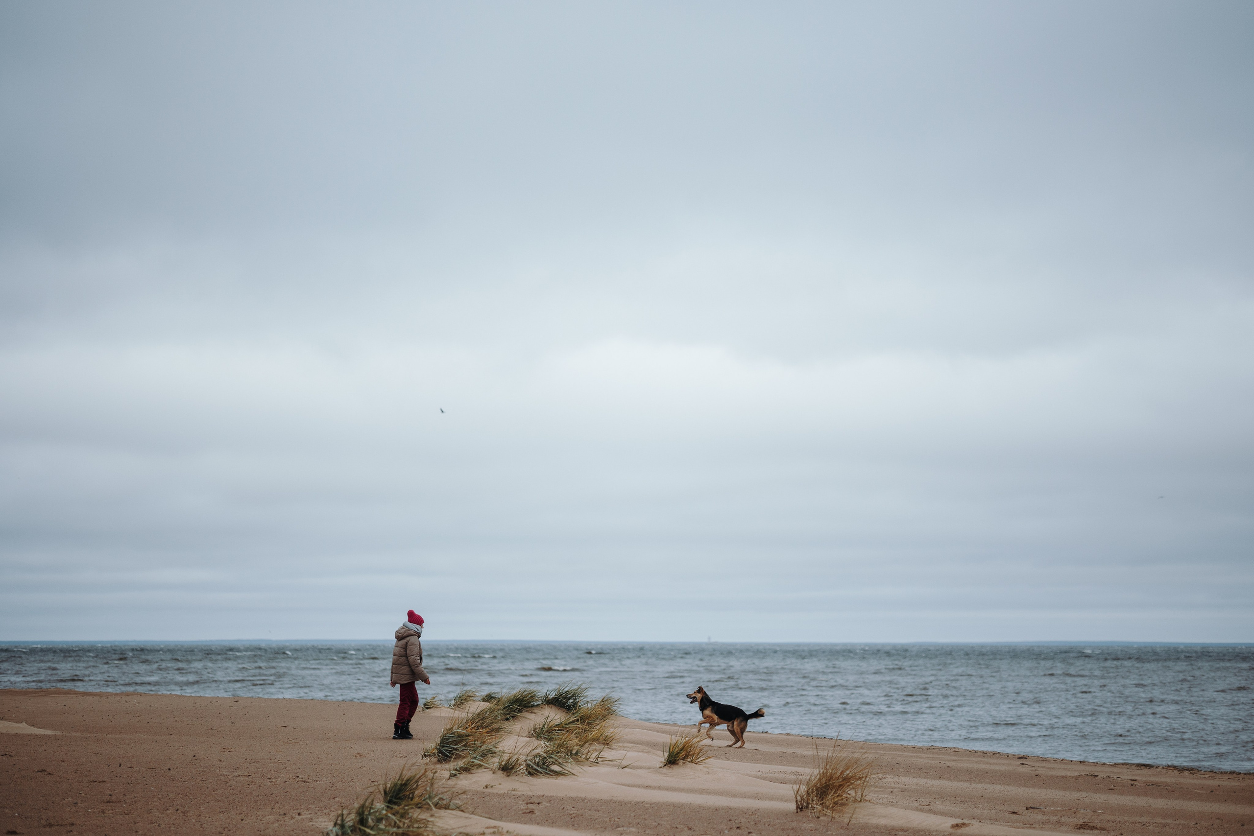 Наталья и Того. Фотограф — Анималист | Санкт-Петербург