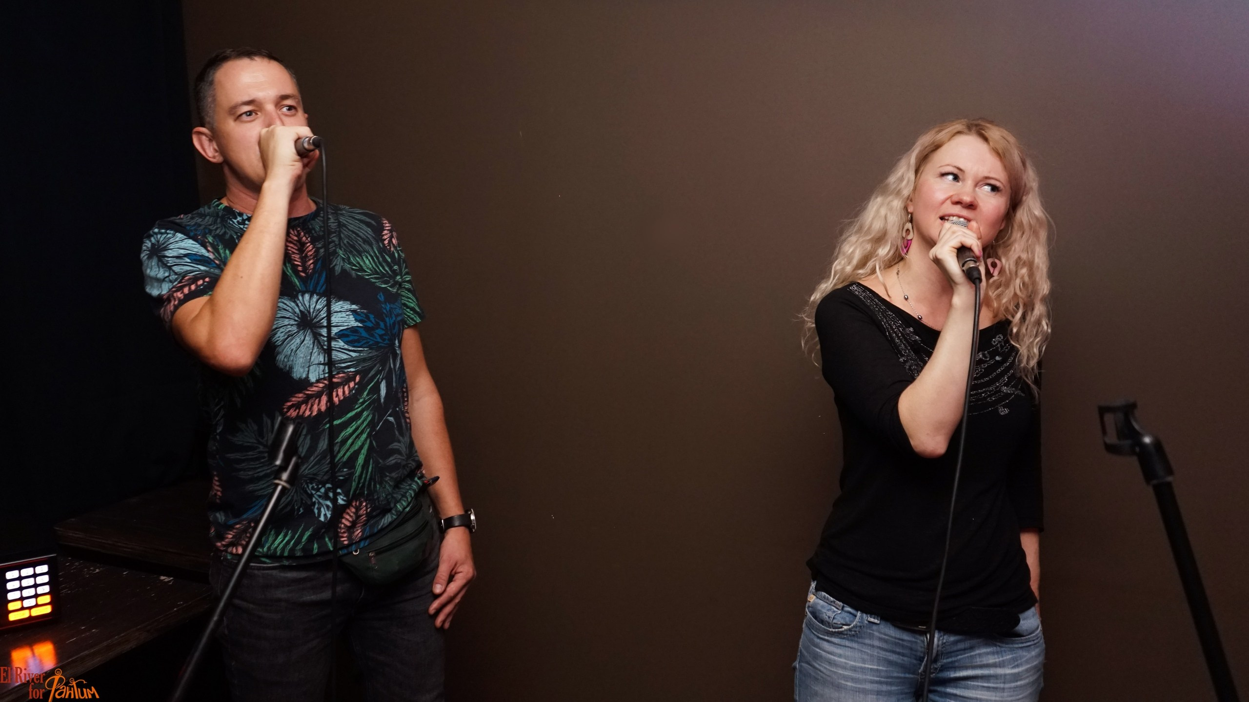 Караоке вечеринка | 25.10.2019. Галерея Фантим