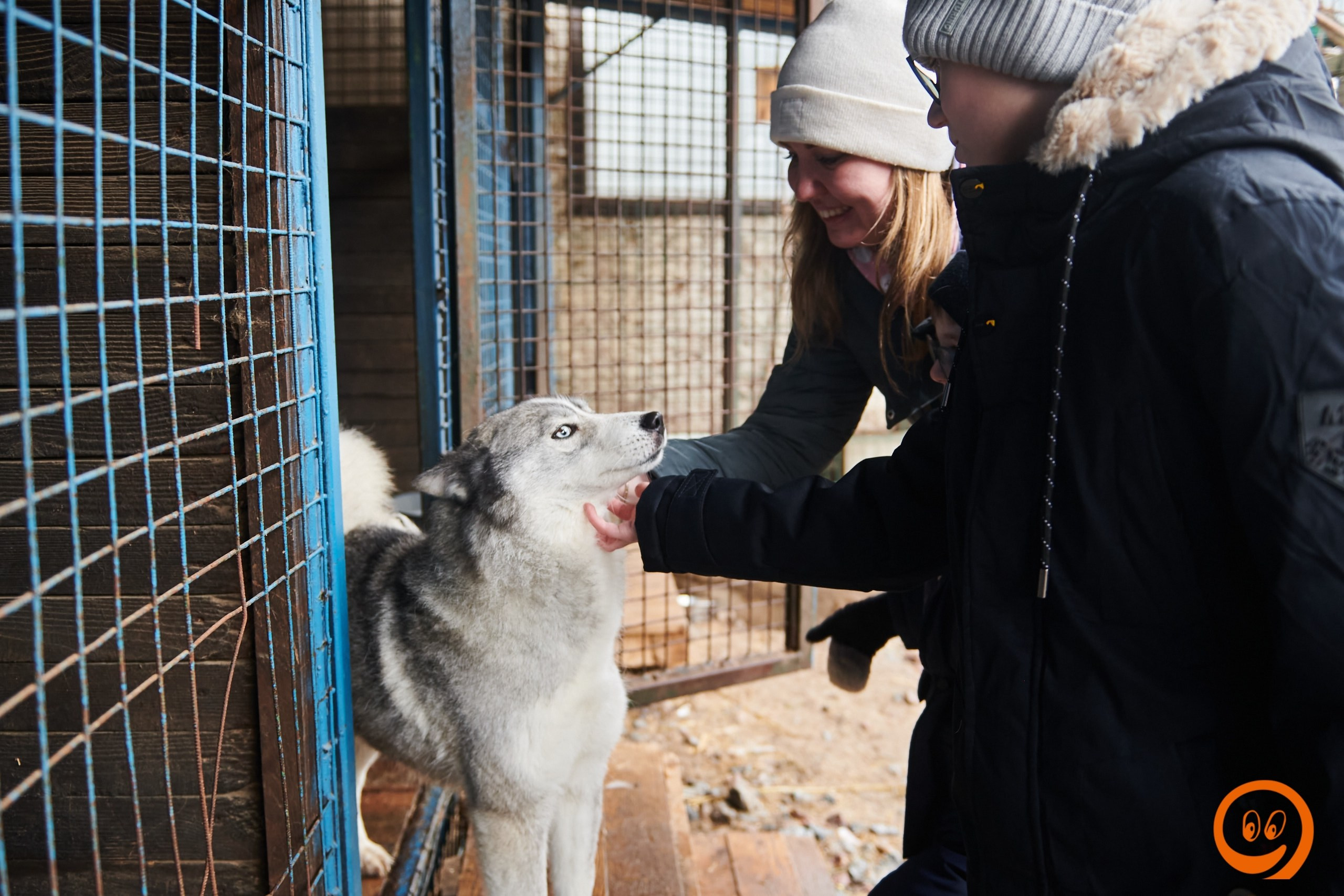 В гости к северным оленям | 18.01.2025. Галерея Фантим