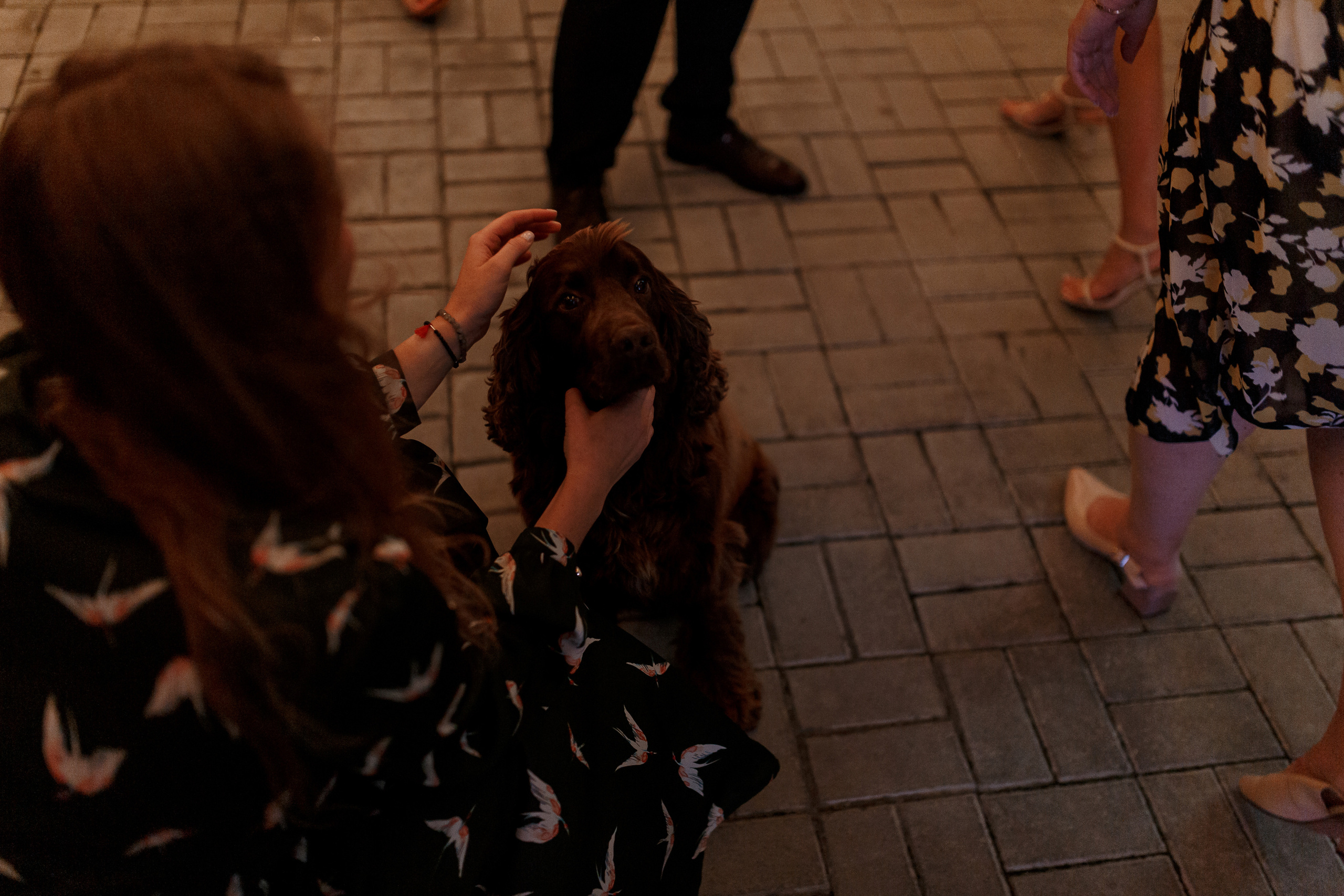 Wedding day Артем и Елена. Свадебный фотограф Колесников Антон