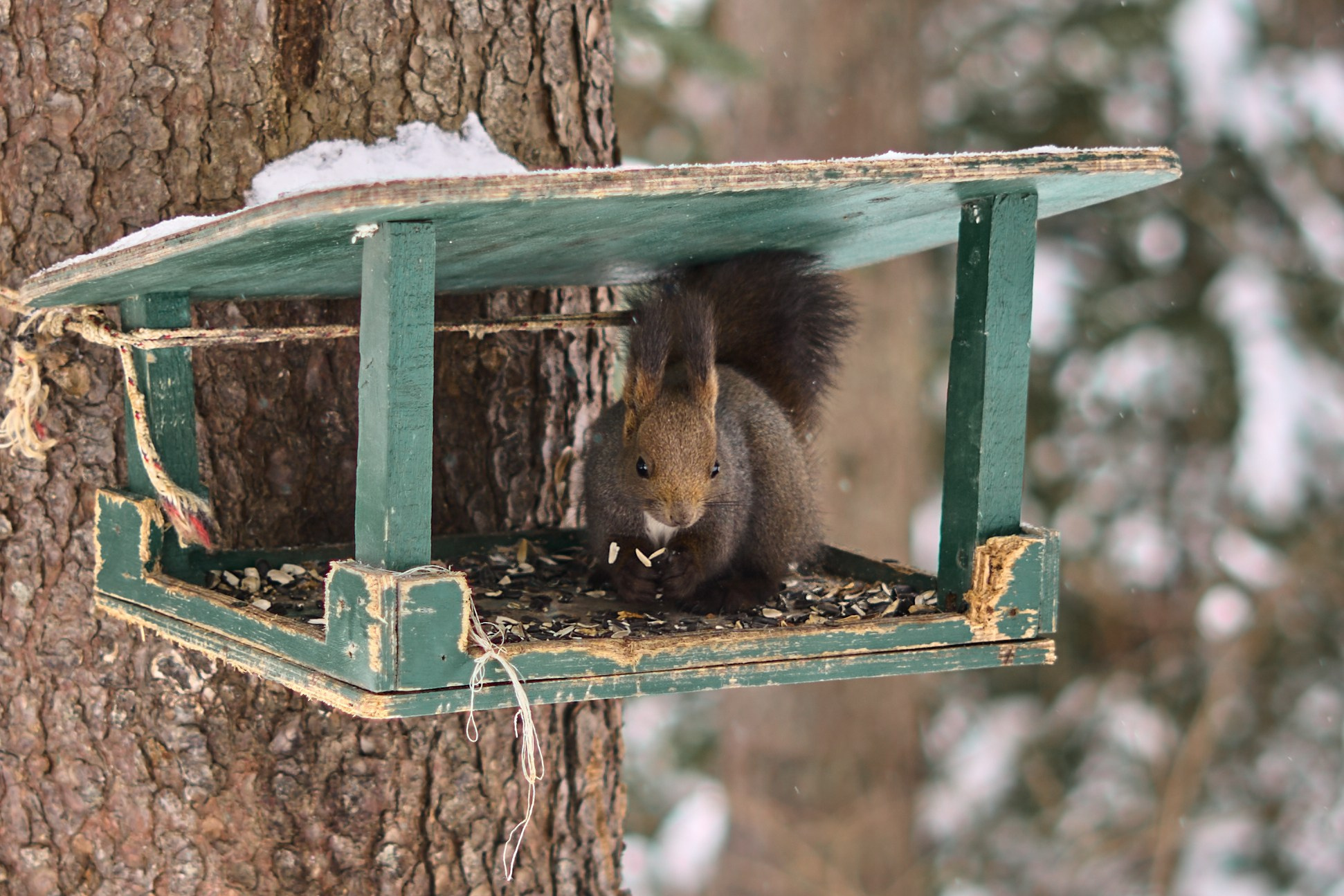 Природа. Фотограф Екатерина Зорина