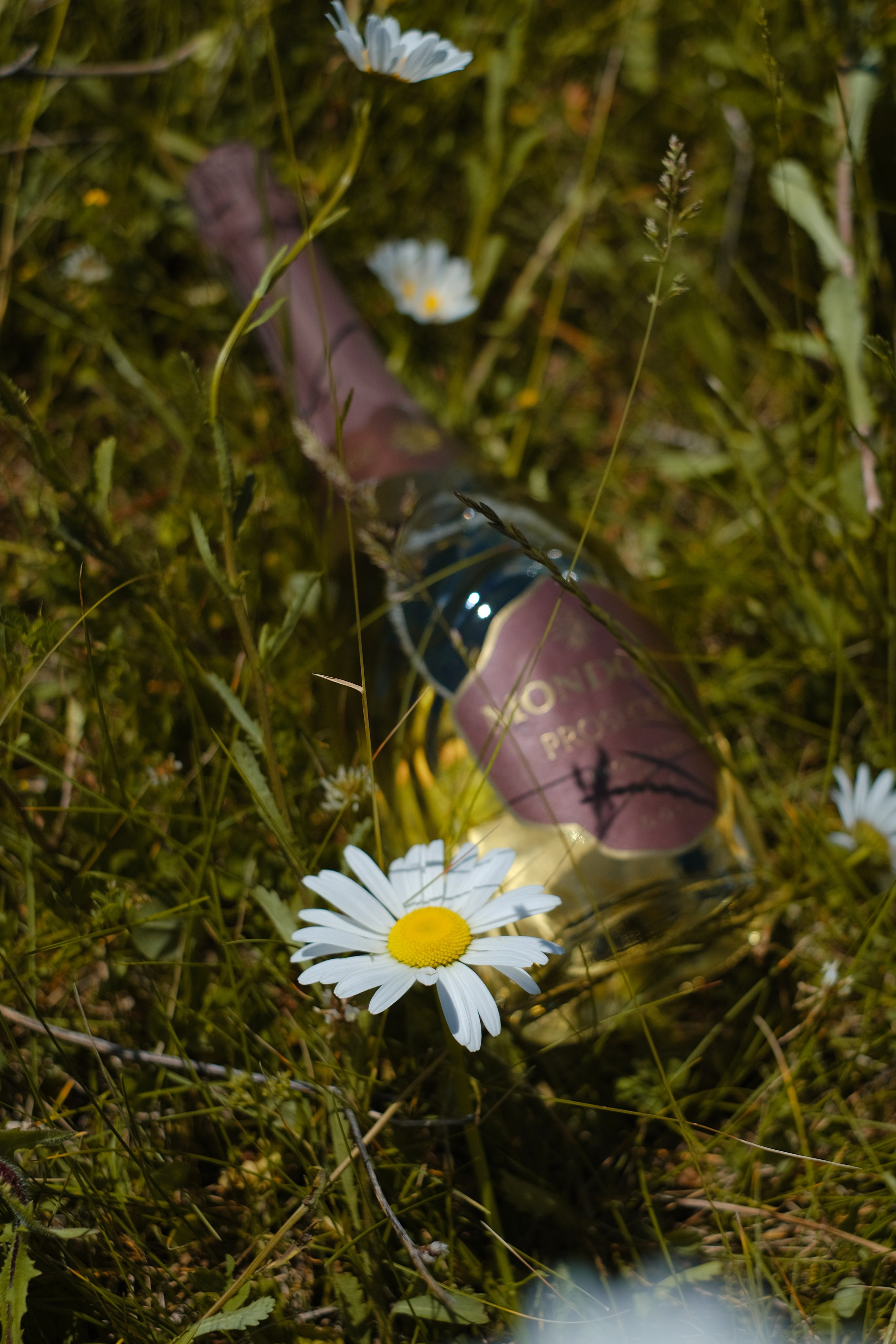Фотосессия в садах: Персик, лаванда, мак, виноград, подсолнух, ромашка, сирень и др. Профессиональная фотосъемка в Крыму. Натуральные эмоции и живые кадры. Забронируйте дату прямо сейчас!