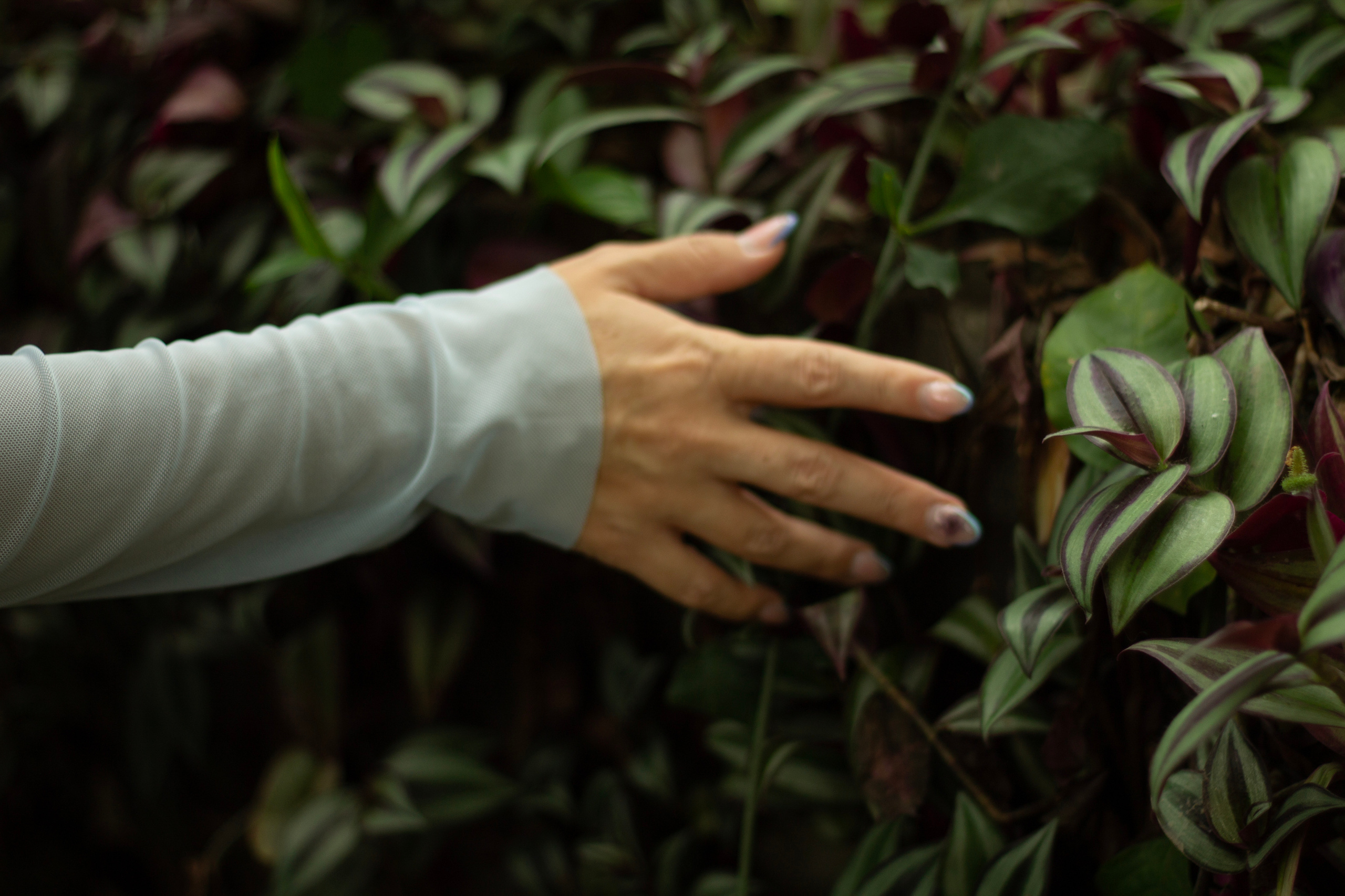 Мария в джунглях