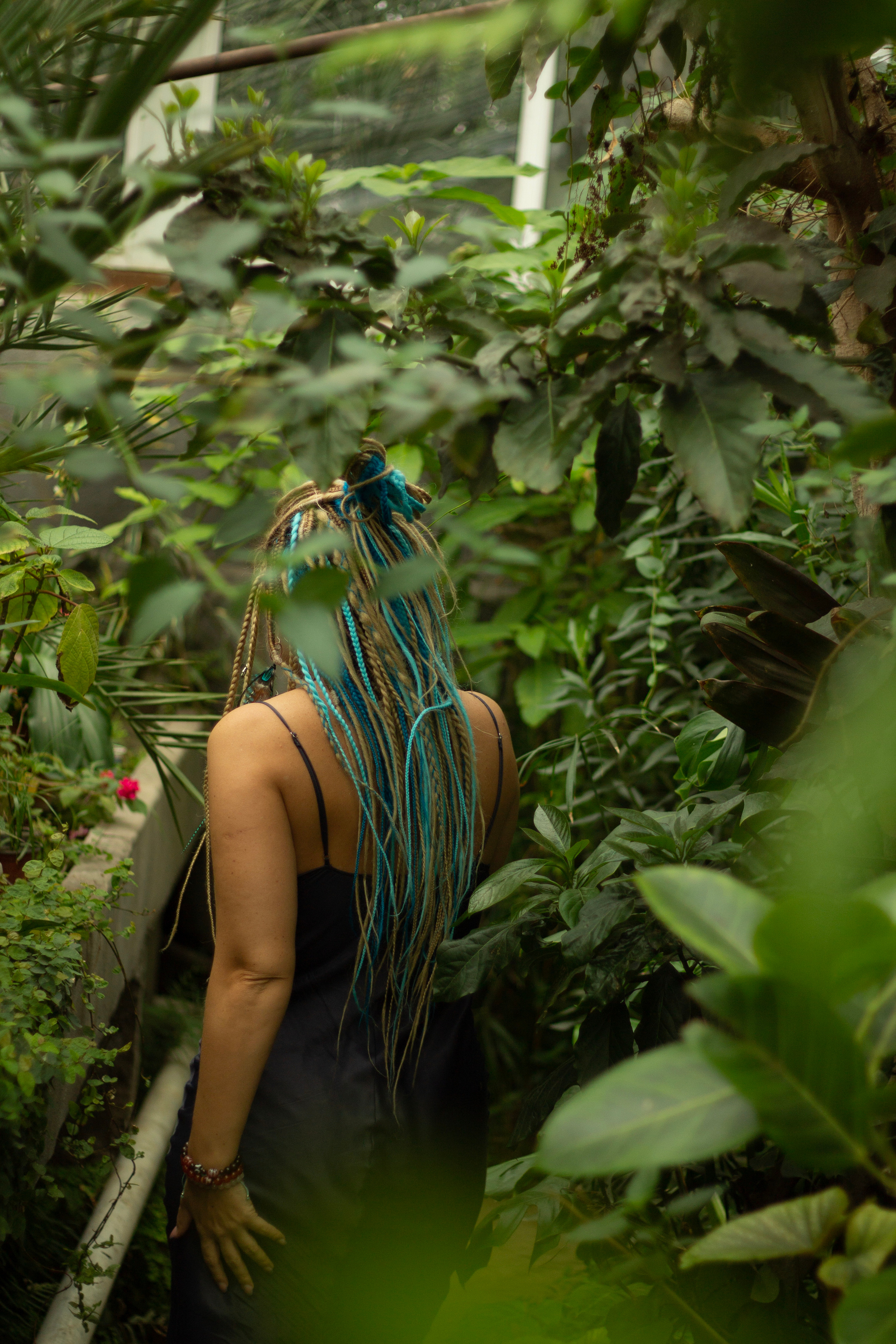 Мария в джунглях