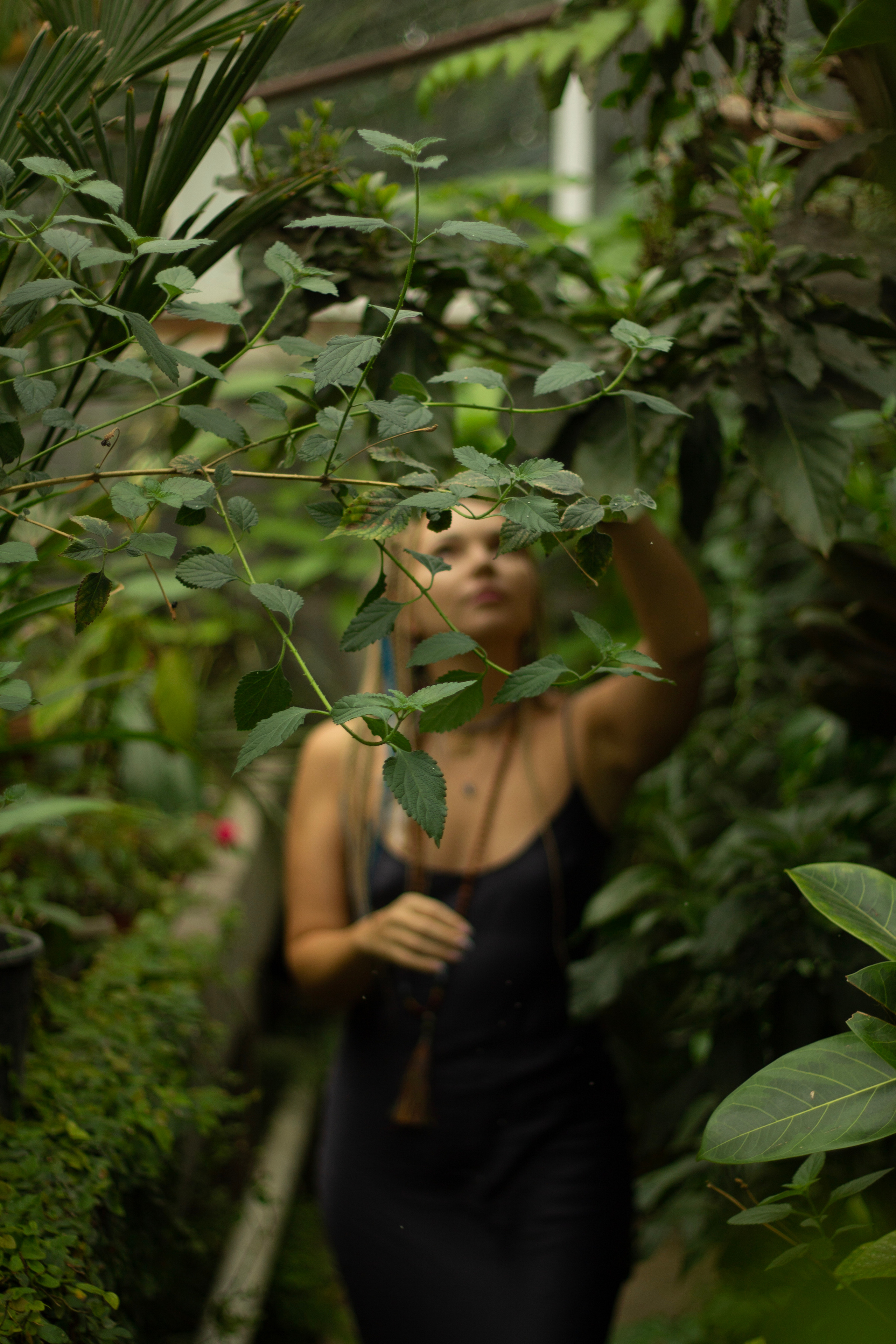 Мария в джунглях