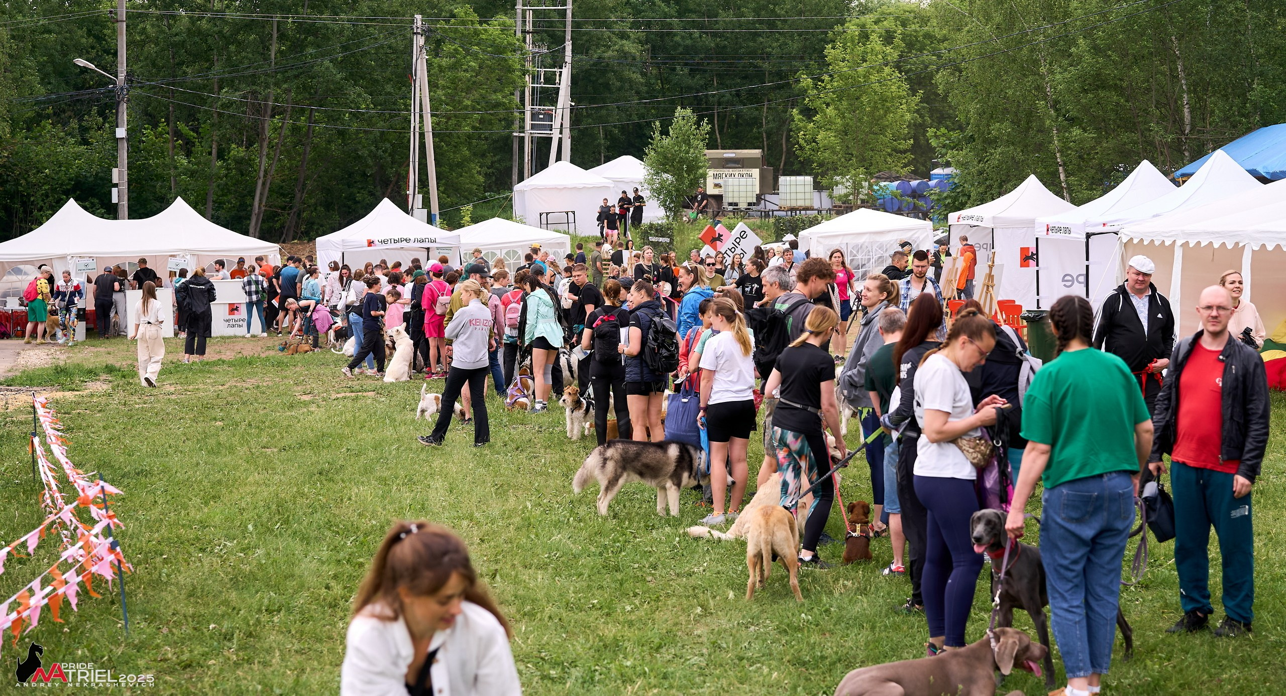 Russian Extreme Dog Trail — 2025