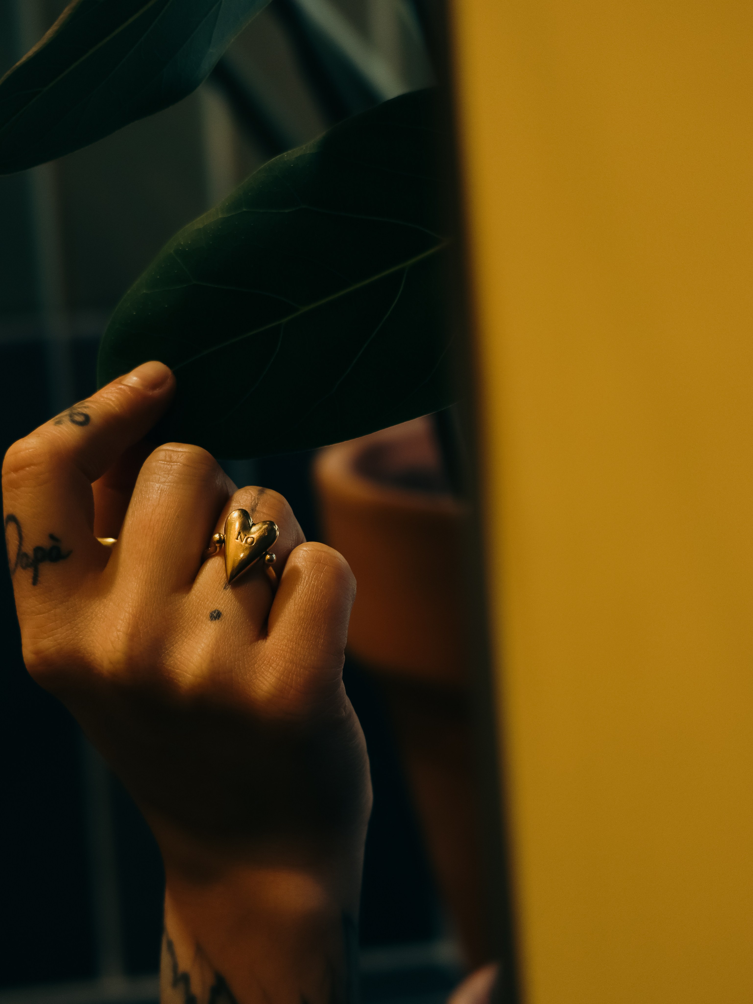 Предметная съёмка. Кинематографичный фотограф, видеограф Лина Плешакова, Санкт-Петербург