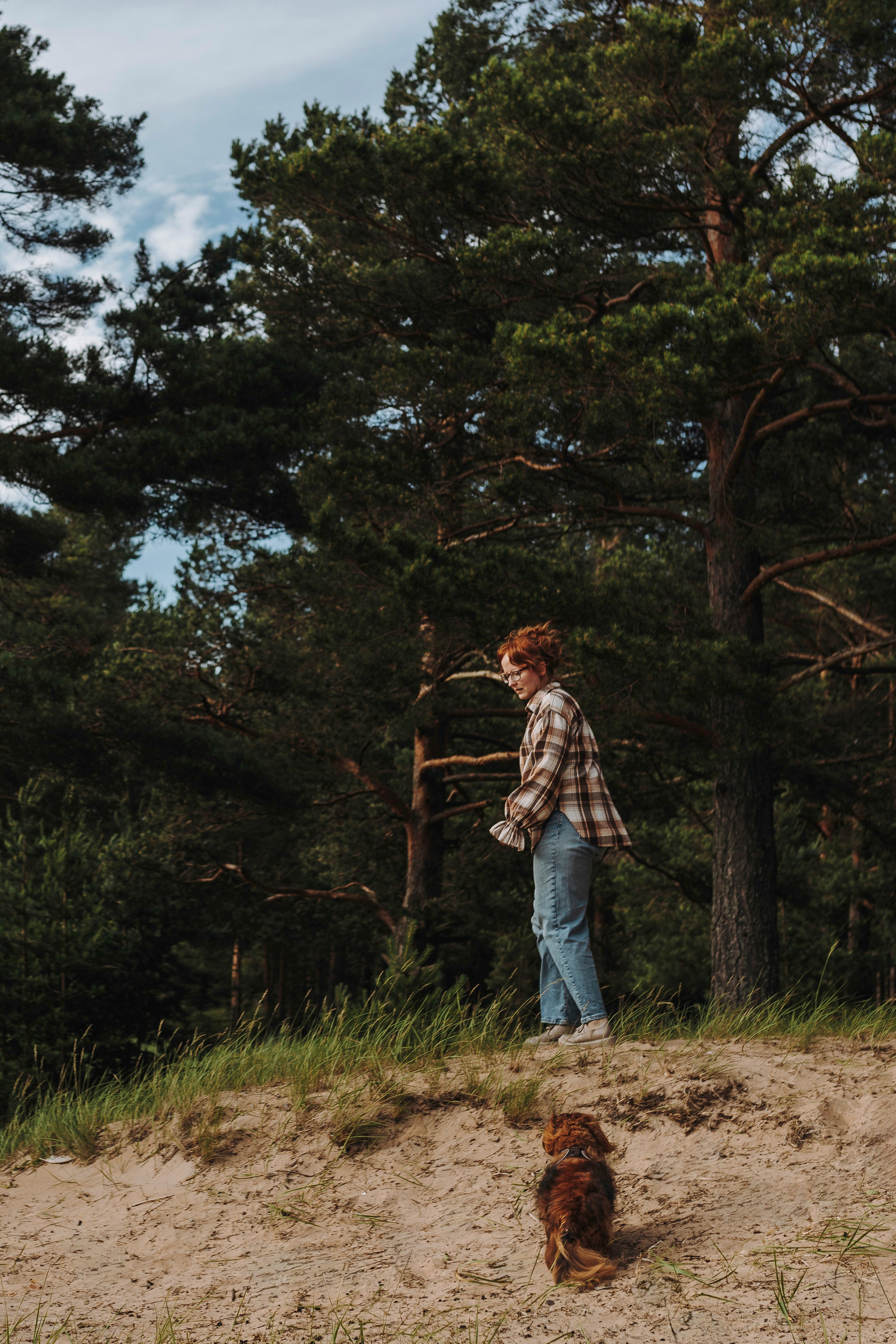 Фотосессия с длиношерстной таксой на пляжн. Фотограф анималист в Спб недорого Олеся Майорова