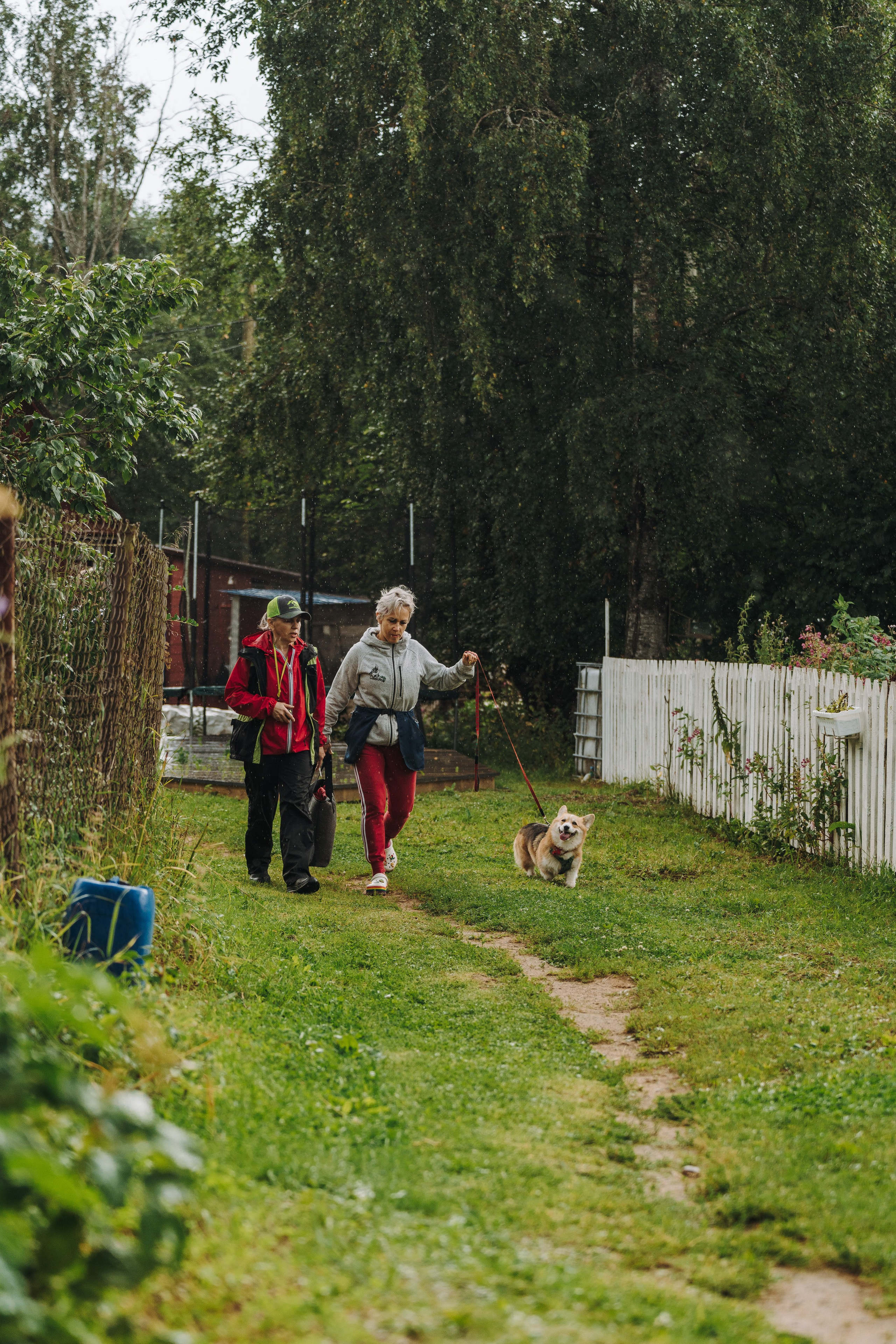 Соревнования по ноузворку в Новожилово. Фотограф анималист в Спб недорого Олеся Майорова