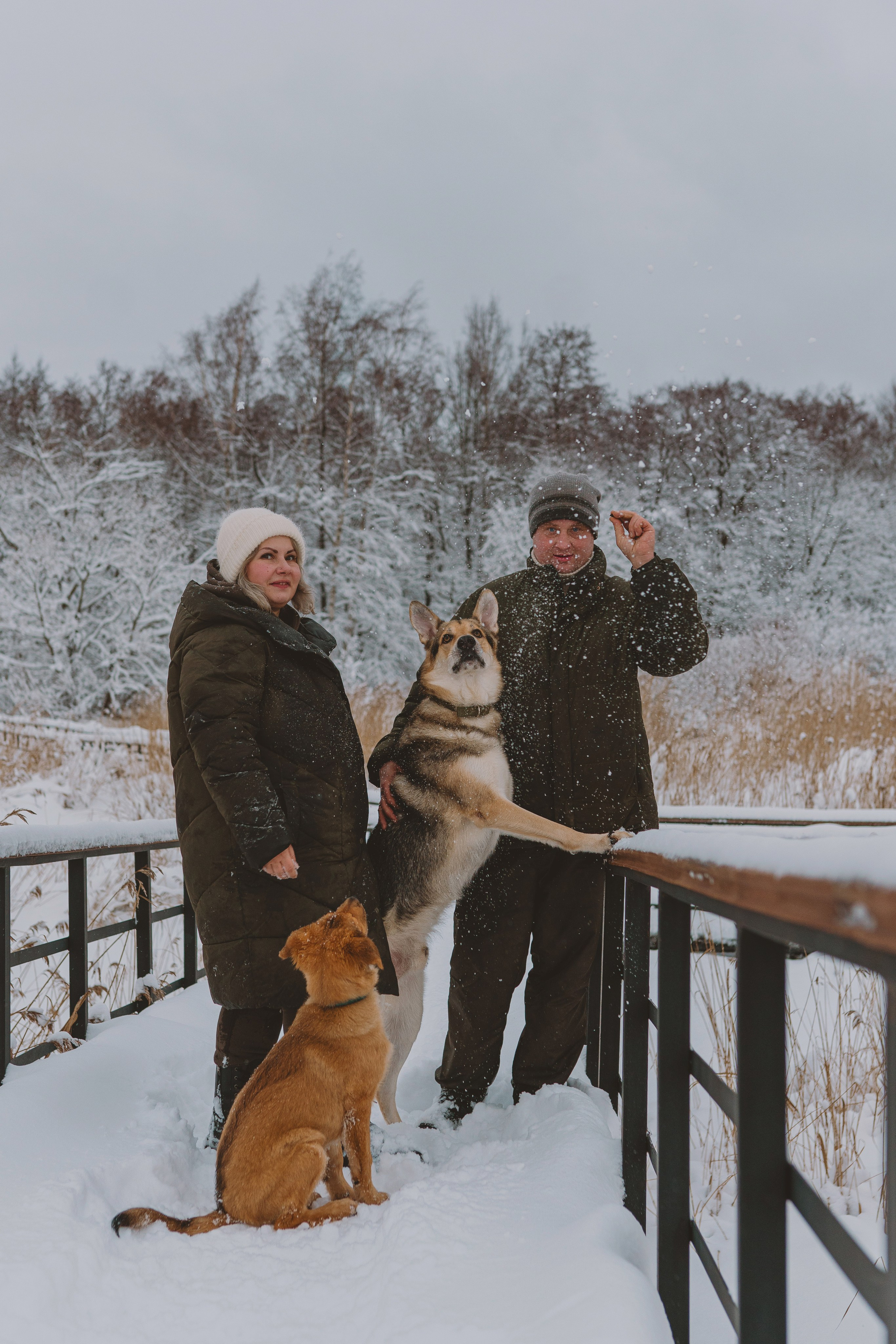 Фотосессия с питомцами на природе. Фотограф анималист в Спб недорого Олеся Майорова