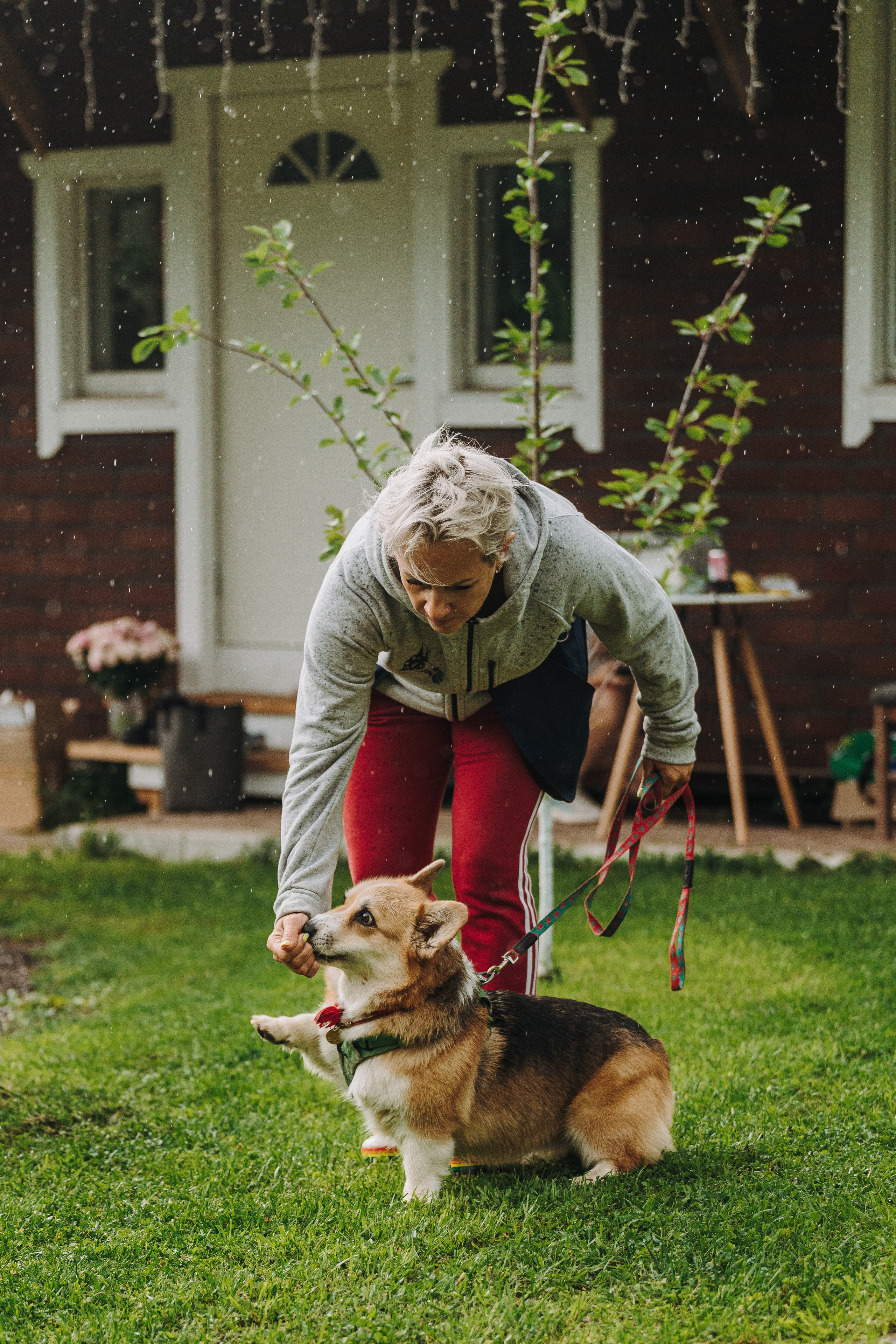 Соревнования по ноузворку в Новожилово. Фотограф анималист в Спб недорого Олеся Майорова