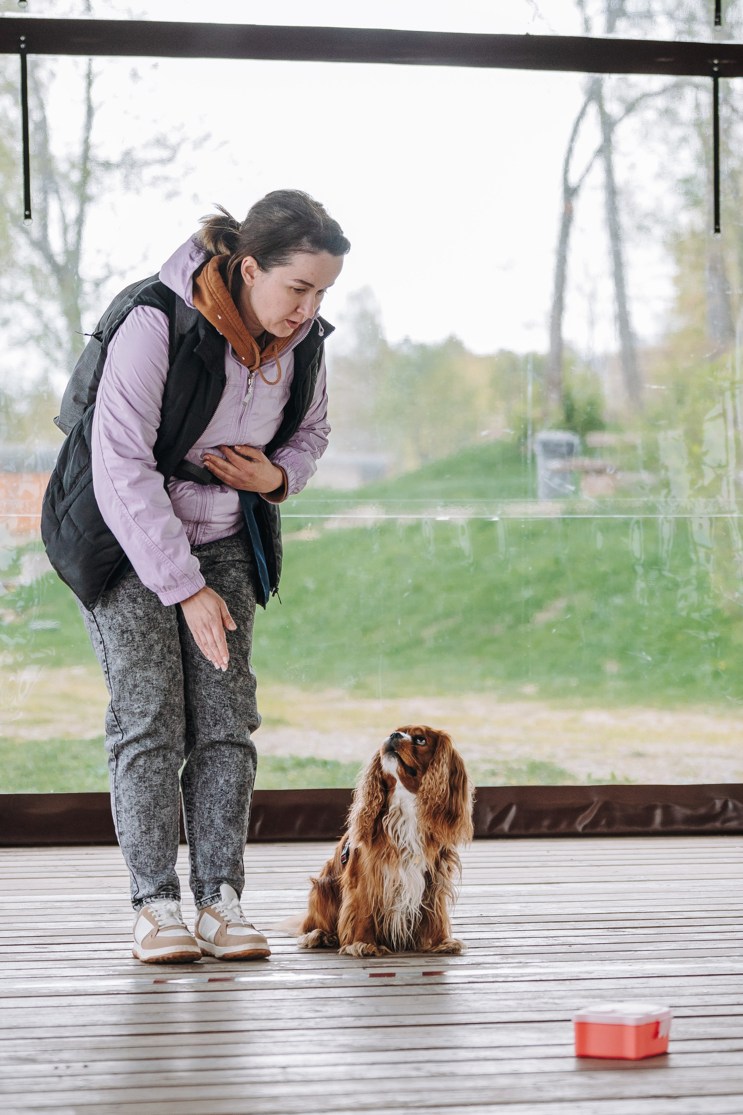 Соревнования по ноузворку в Лосево. Фотограф анималист в Спб недорого Олеся Майорова