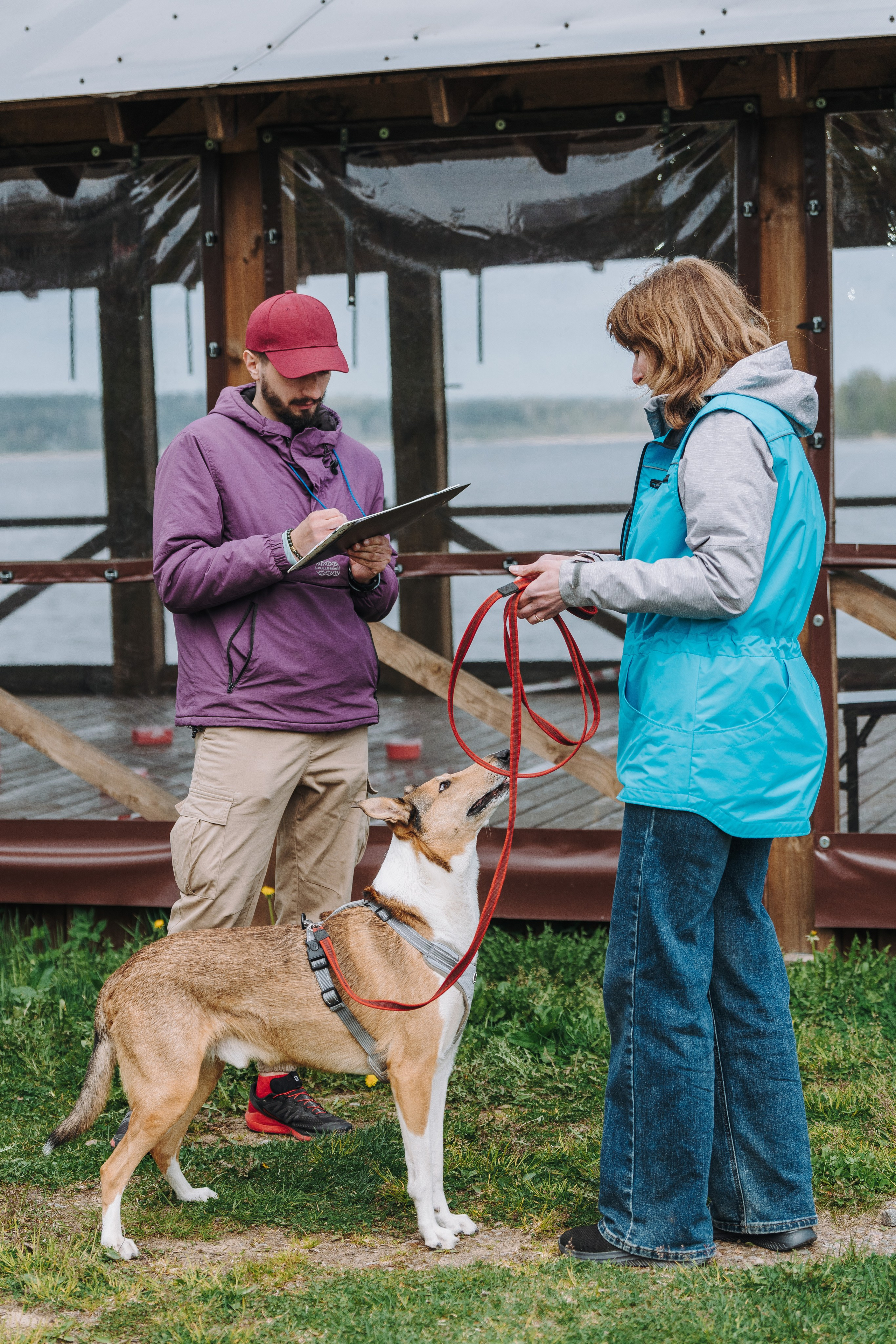 Соревнования по ноузворку в Лосево. Фотограф анималист в Спб недорого Олеся Майорова
