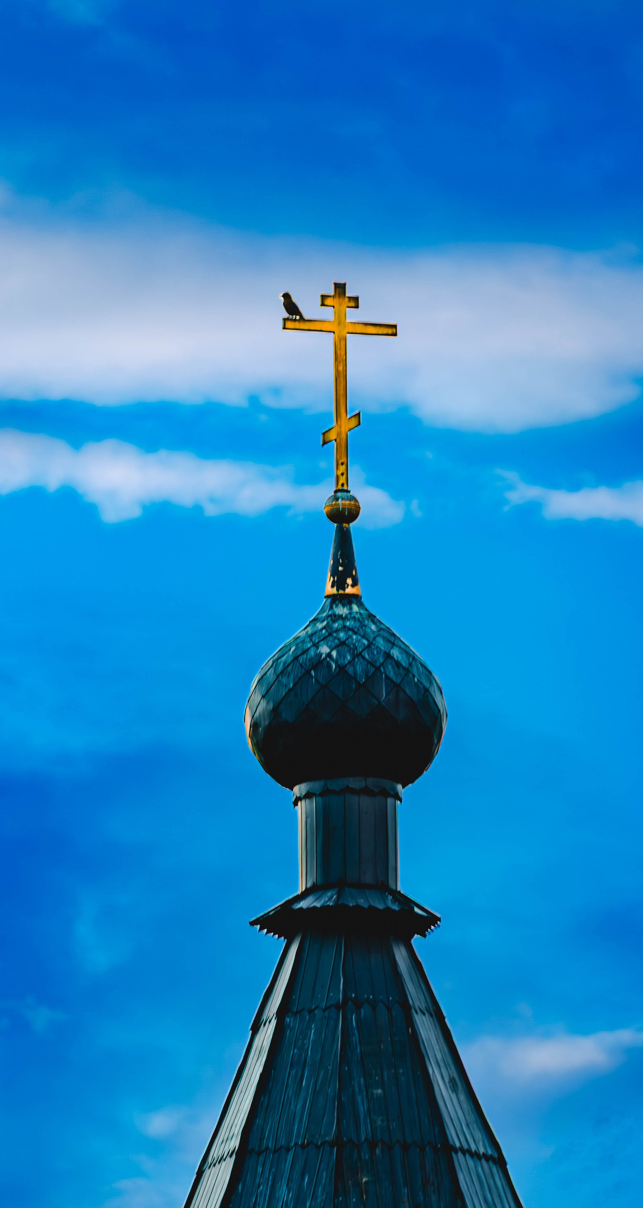 ПЛАНЕТА ЗЕМЛЯ (пейзаж). АЛЕКСЕЙ КОЛМАКОВ. Фотограф. Москва и Московская область