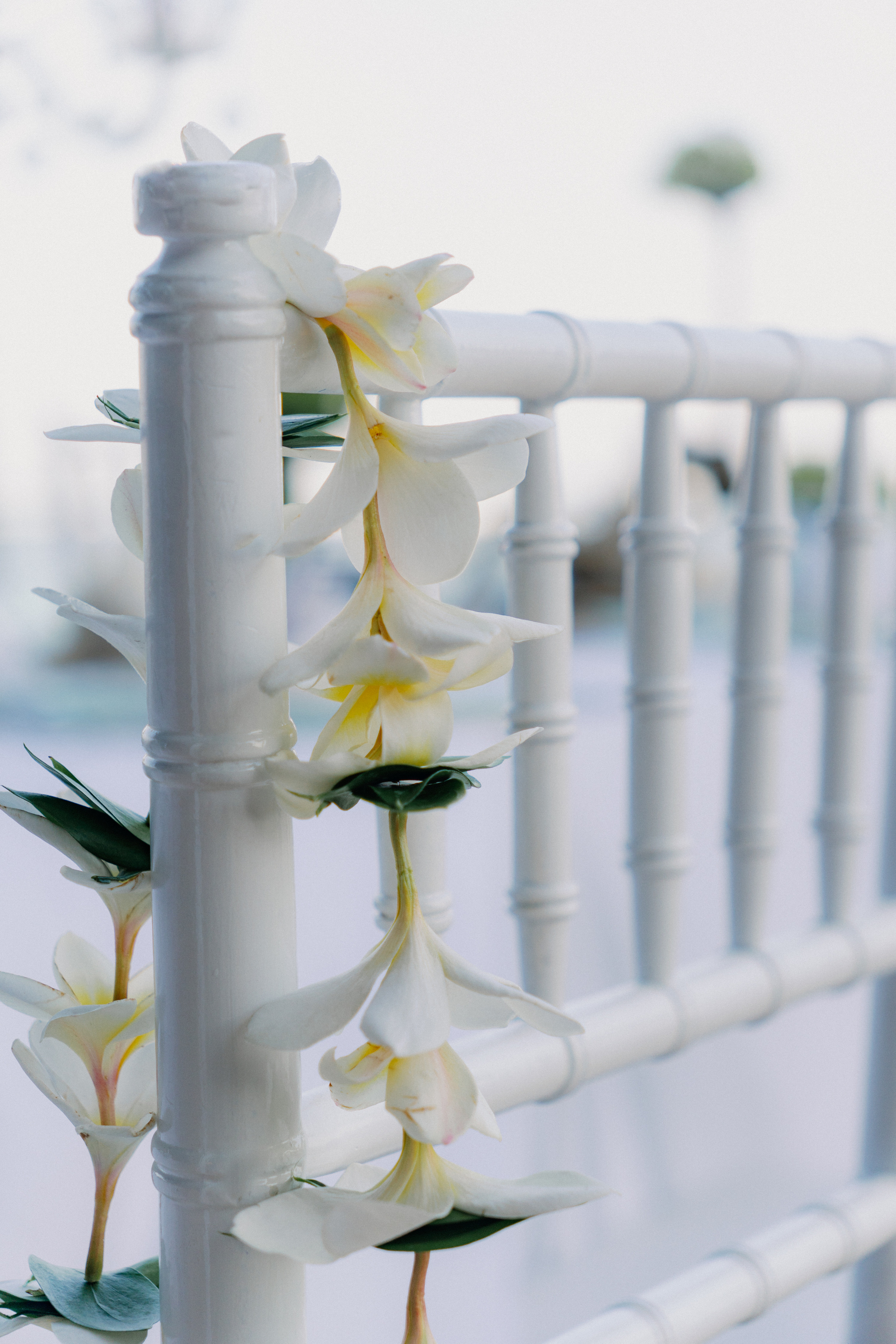 Ksenia and Ruslan’s wedding. Olga Antipova — photographer