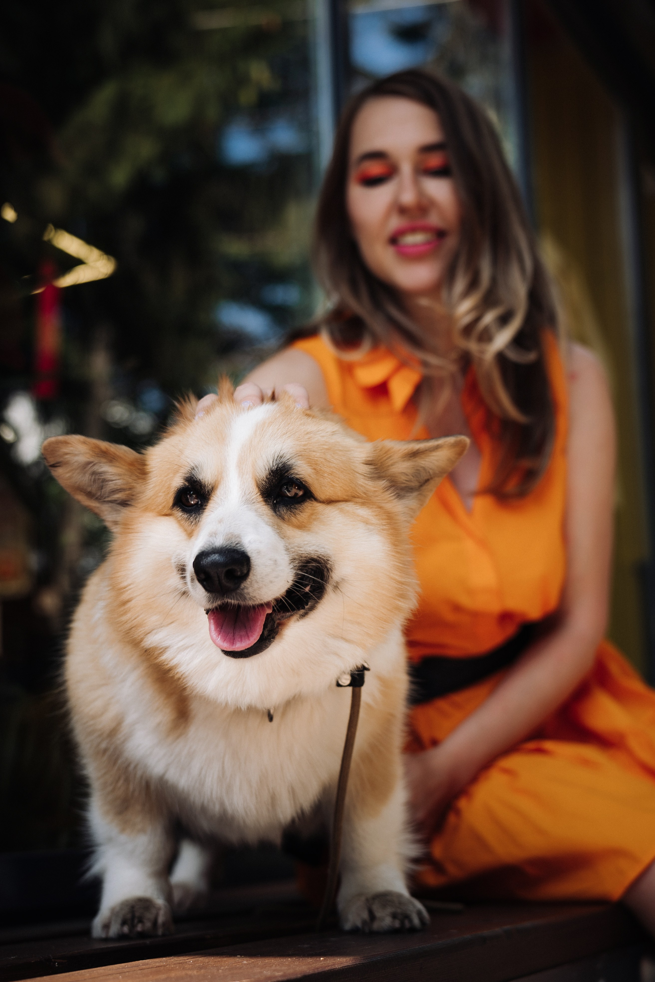 Съемки с животными. Https://instagram.com/ana.stasia.n