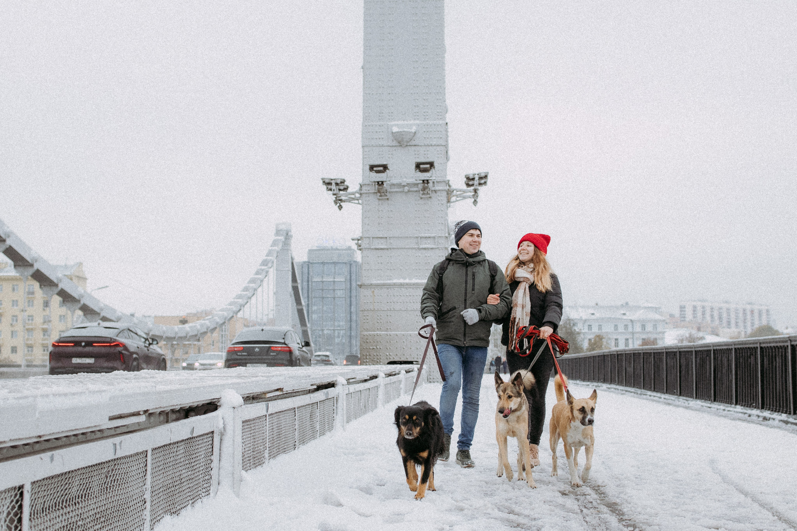 Саша, Ксюша и их банда. Фотораф — анималист Мария Шистка