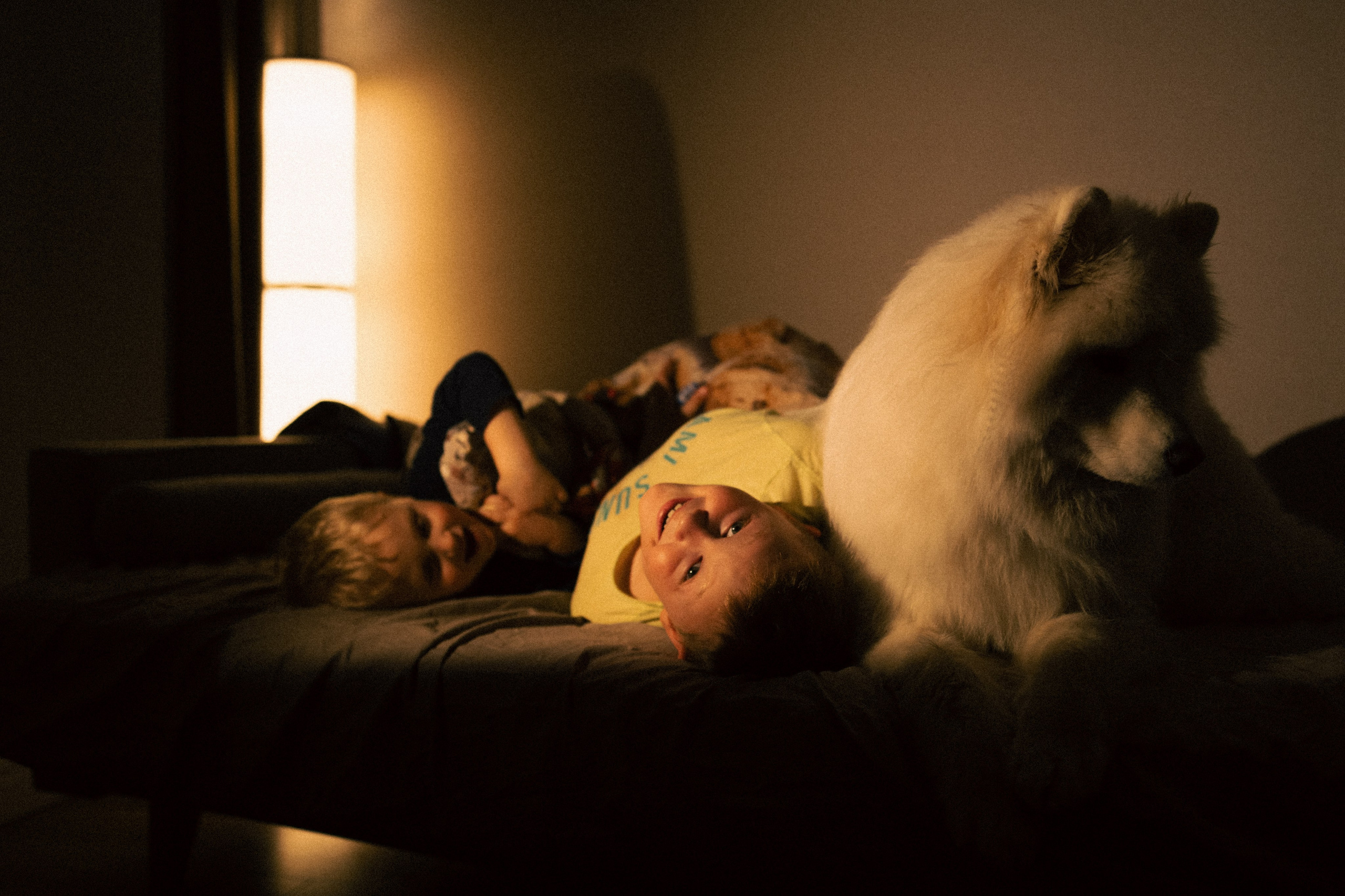 Мальчишки. Фотограф анималист в Москве Майорова Евгения