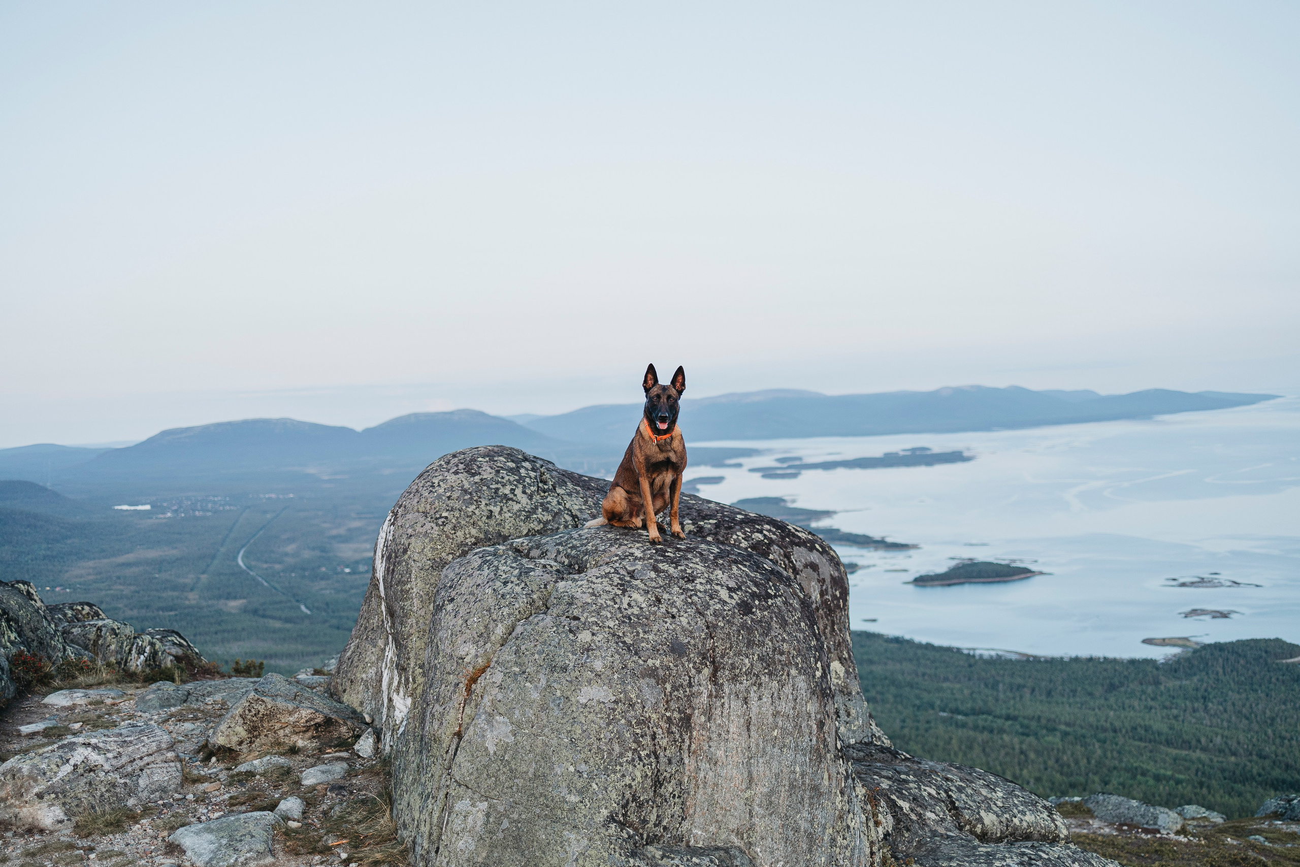 Горы. Фотограф-анималист Анна Маринич