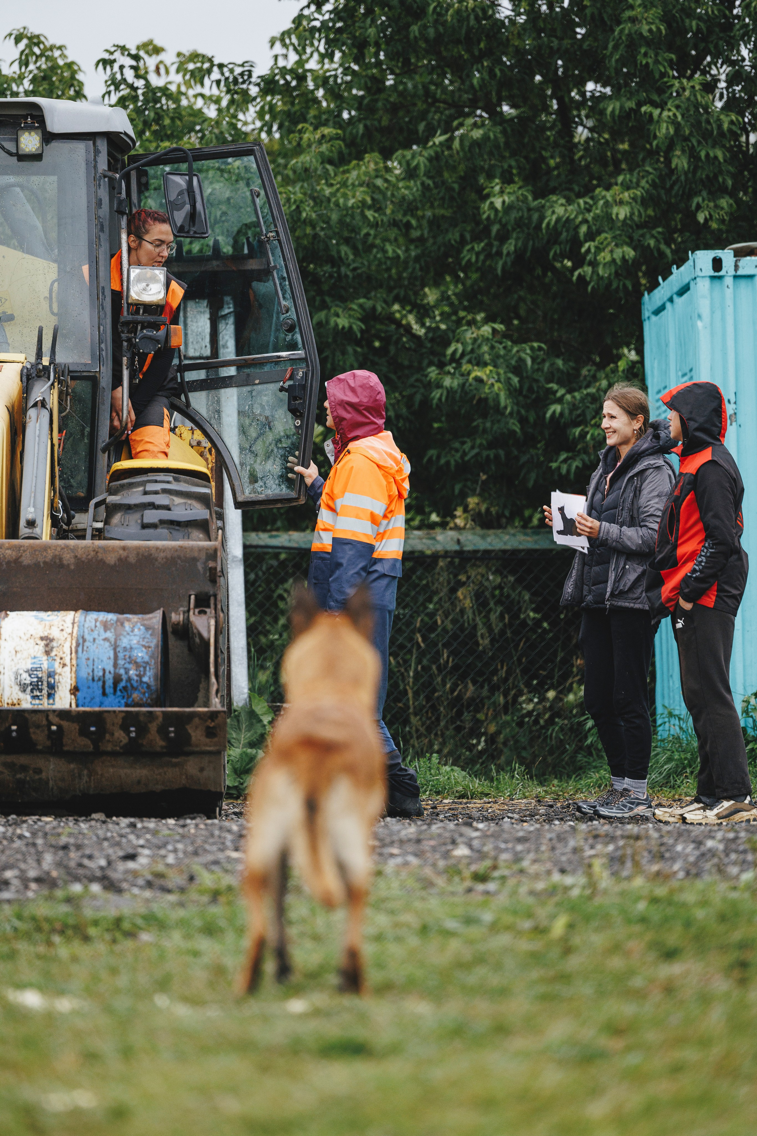 08.08.25-10.08.25 ЧР по мондьорингу г. Вологда. Фотограф-анималист Анна Маринич