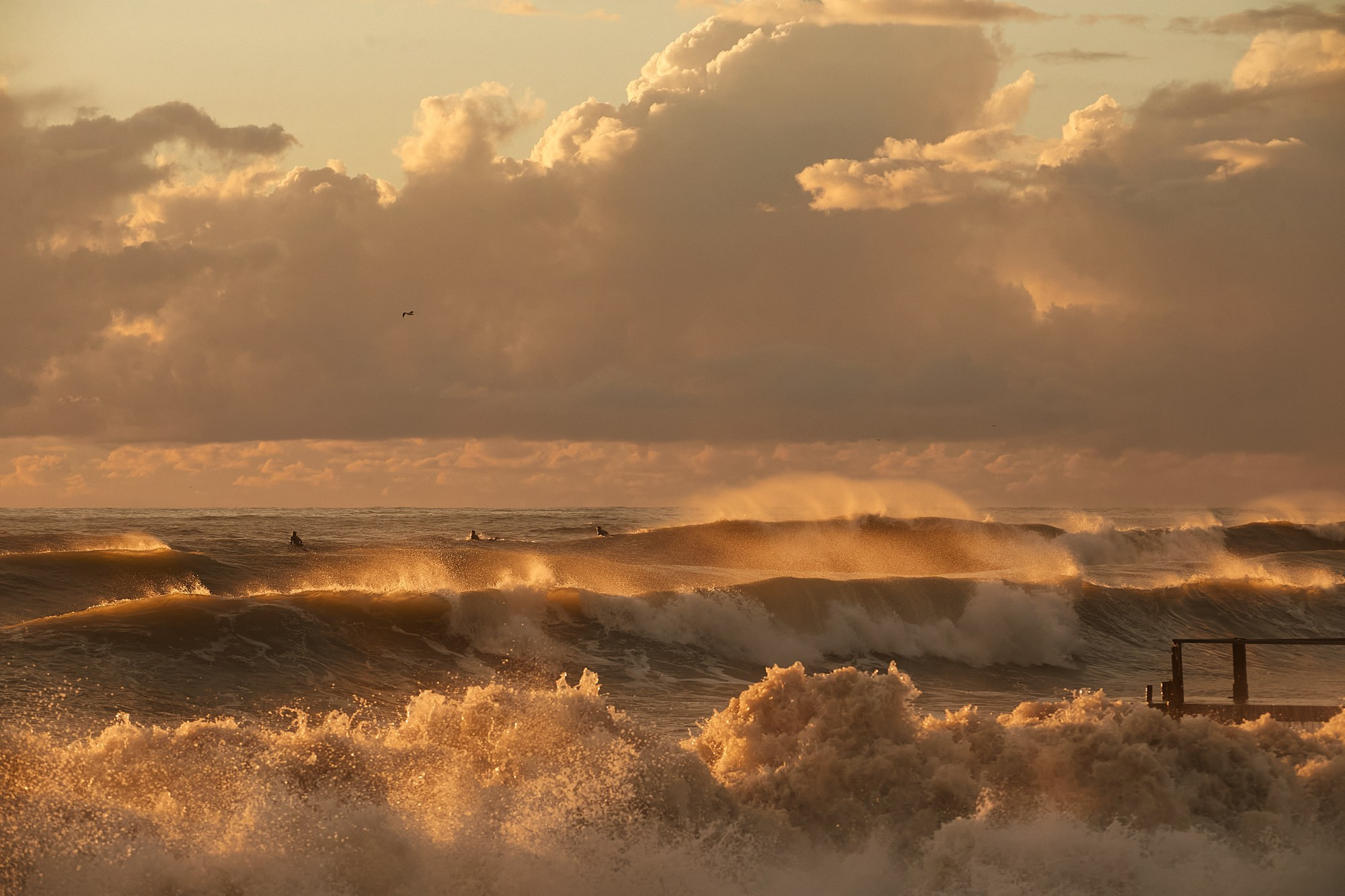 Море и серферы. Репортажный и постановочный Наталья Санникова
