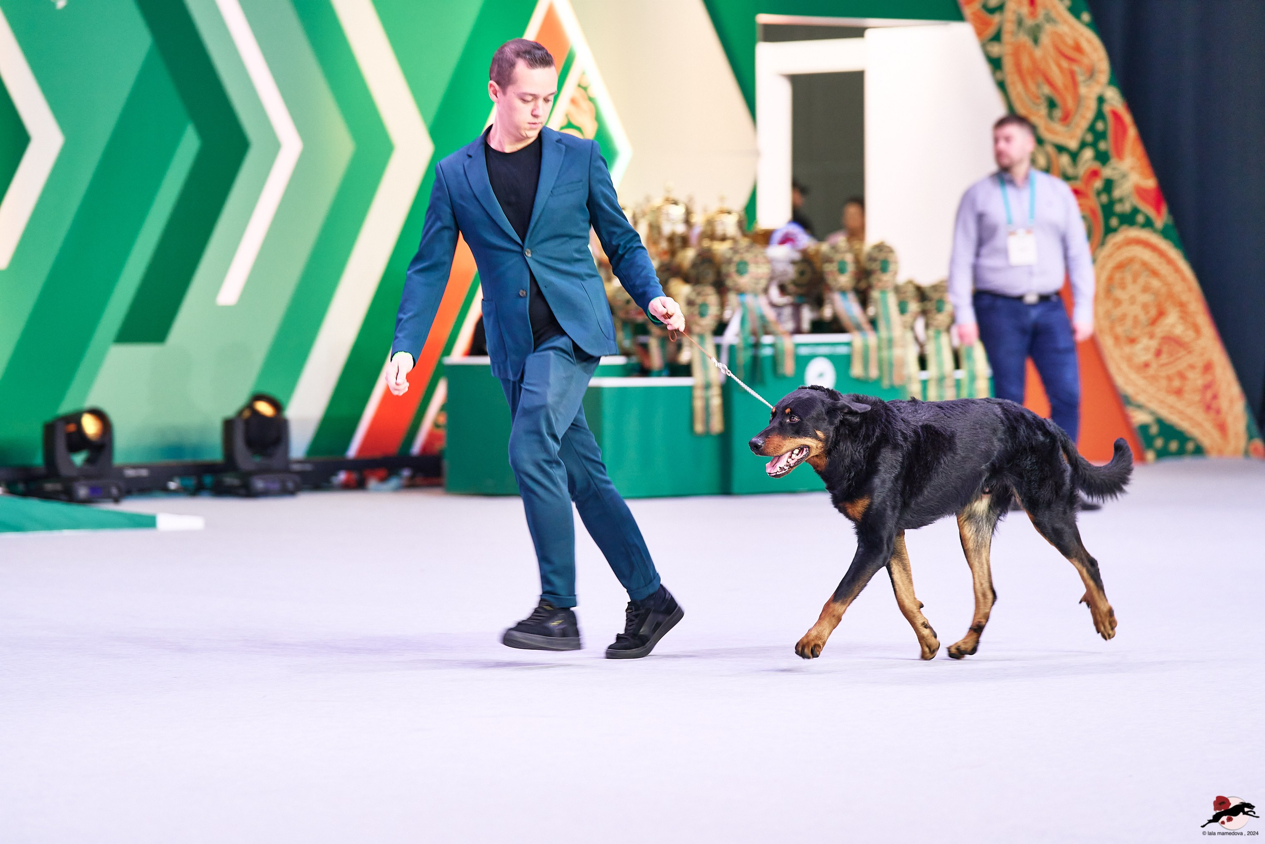 16.11.2024 «ЕВРАЗИЯ. КУБОК ПРЕЗИДЕНТА РКФ 2024»