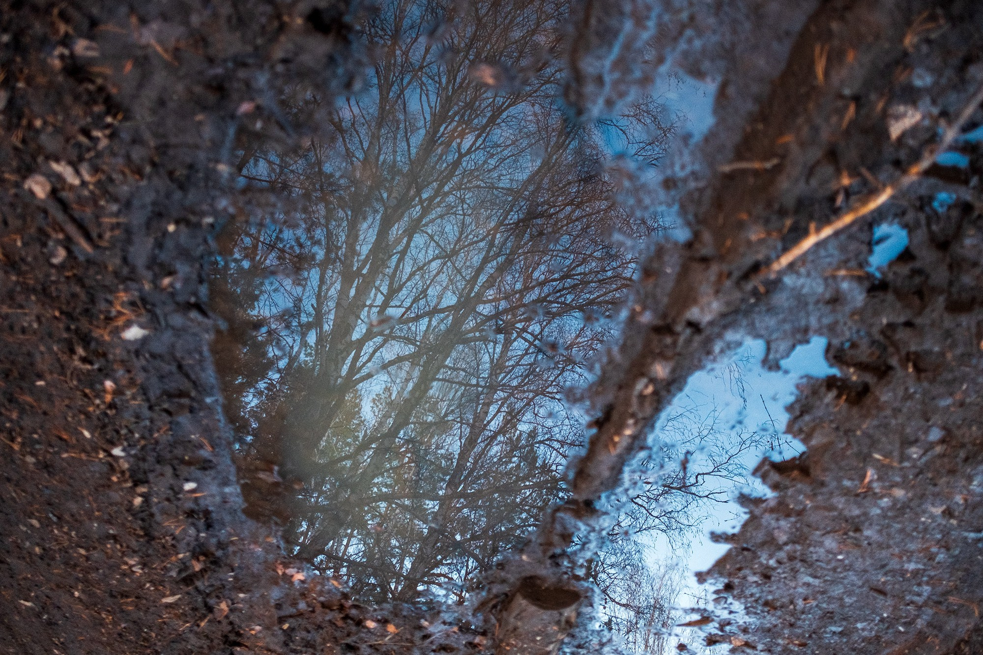 Природа. Фотограф в городе Каменск-Уральский — Метелёв Андрей