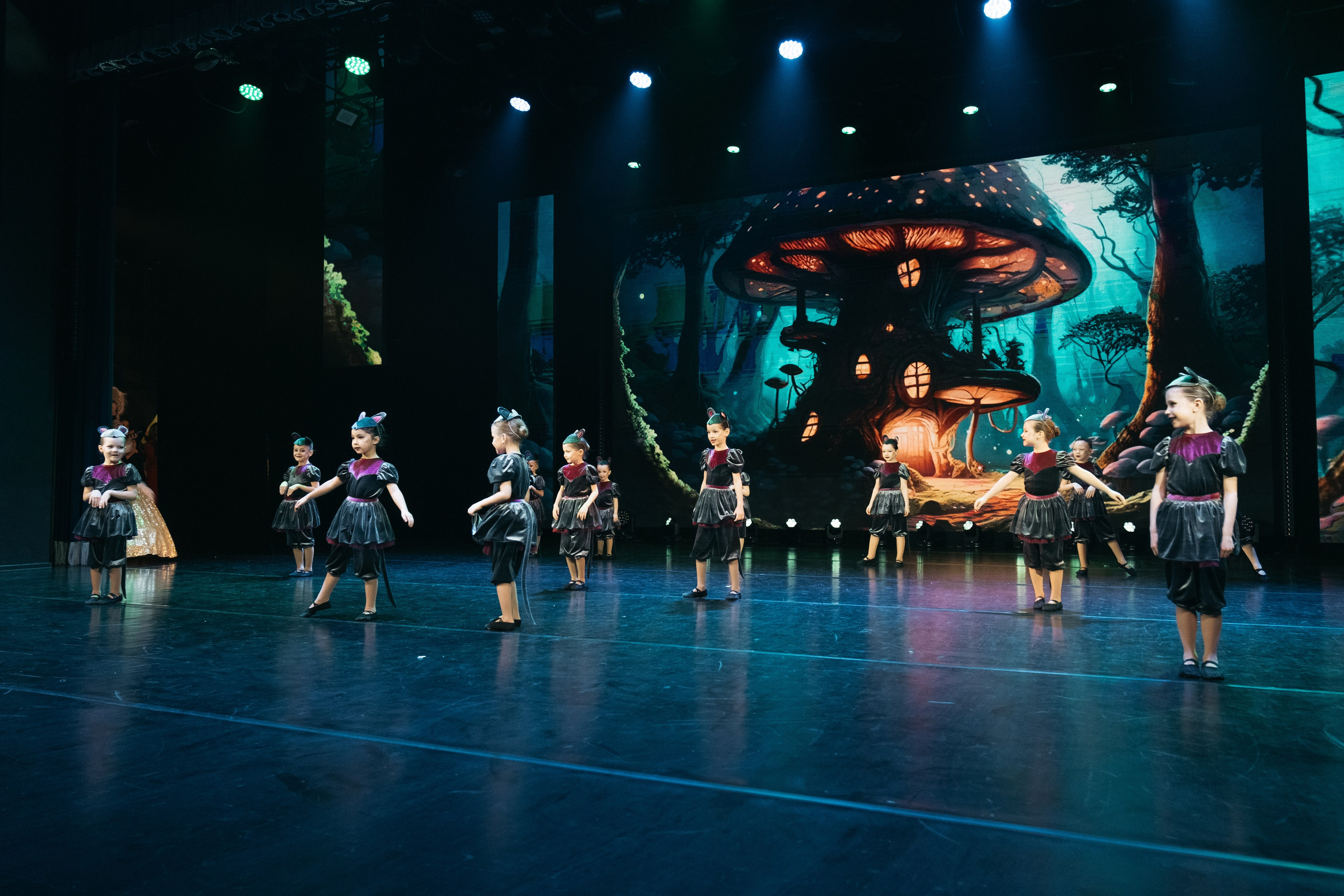 СурГУ 23.12.23. Репортажный и свадебный фотограф в Сургуте