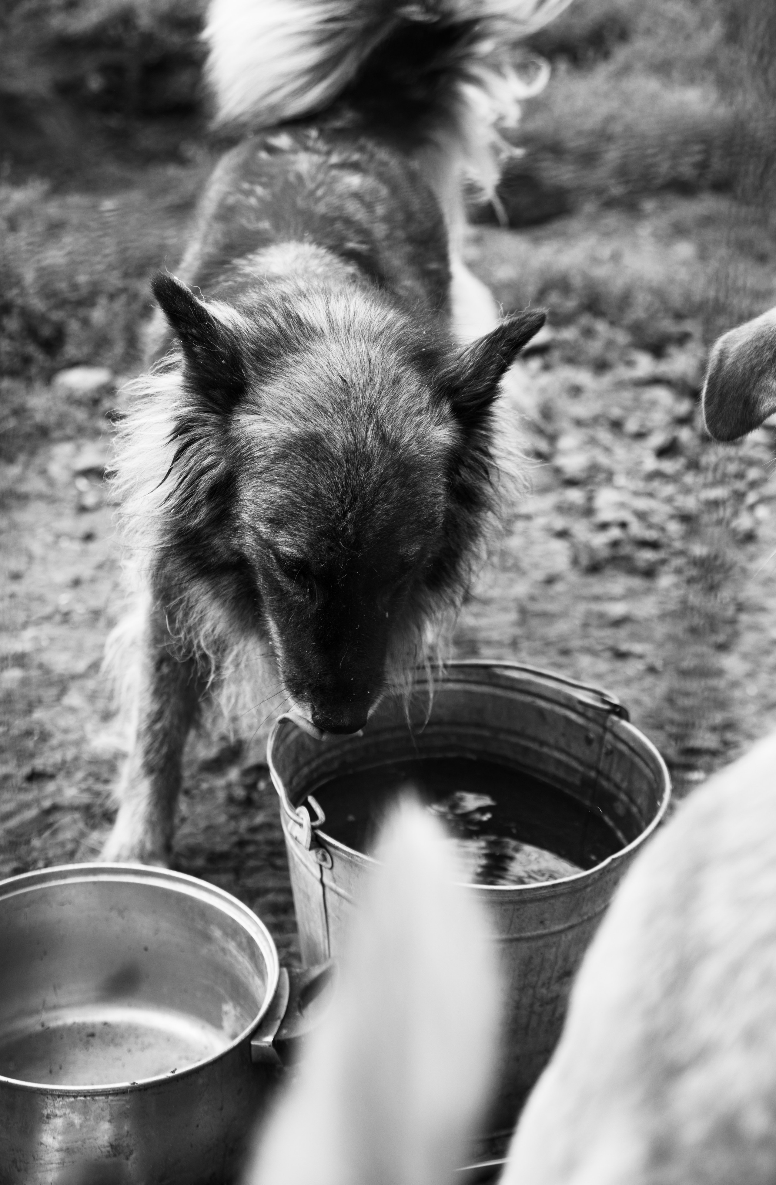 Приют — Наш дом. Репортажный и свадебный фотограф в Челябинске Елисеев Павел