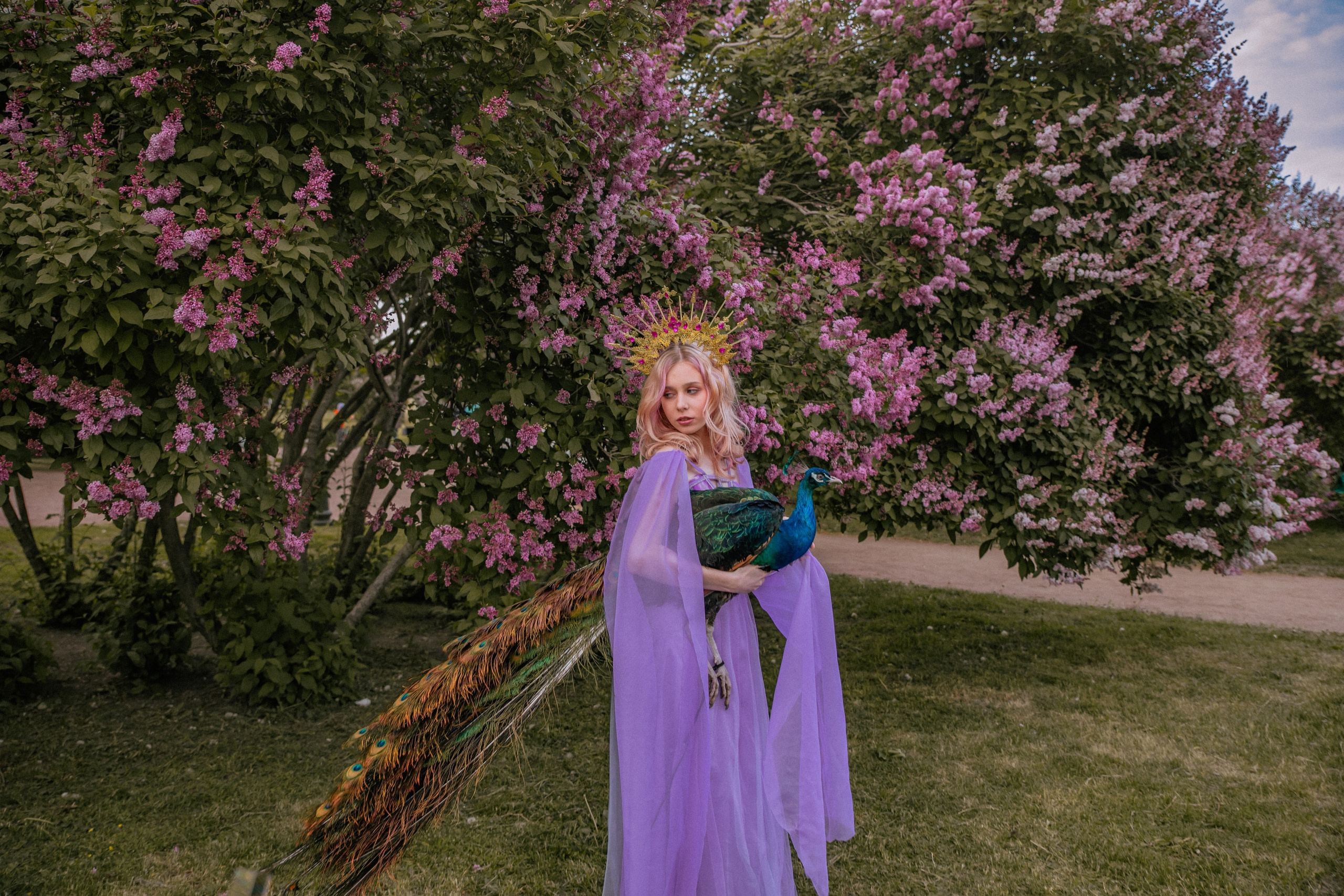 Павлин. Elena Sova — семейный и женский фотограф в Санкт-Петербурге