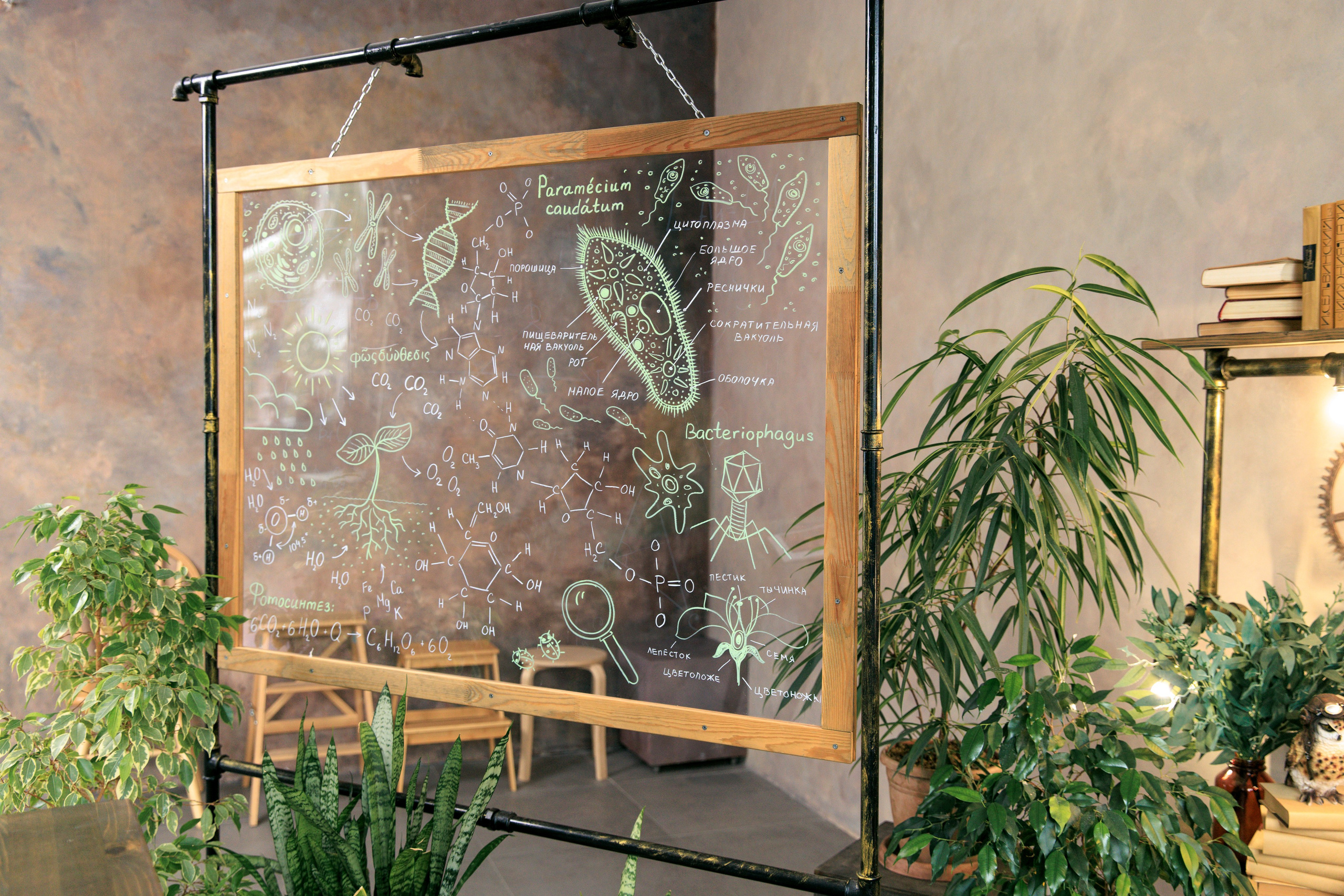 Фотостудия Экла. Выпускные альбомы Евгении Виноградовой г. Липецк