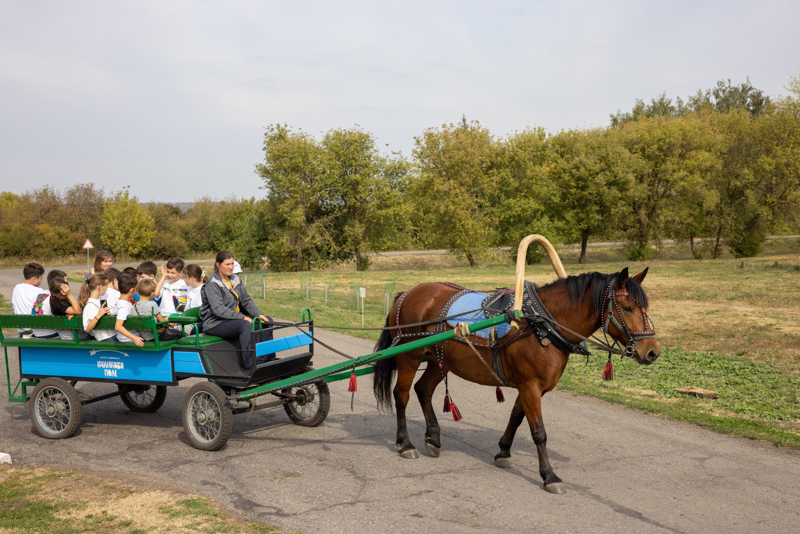 Поездка на поле Кулеково. Фотограф в Туле Крупский АнДРей. Фотостудия «КАДР71» в Туле