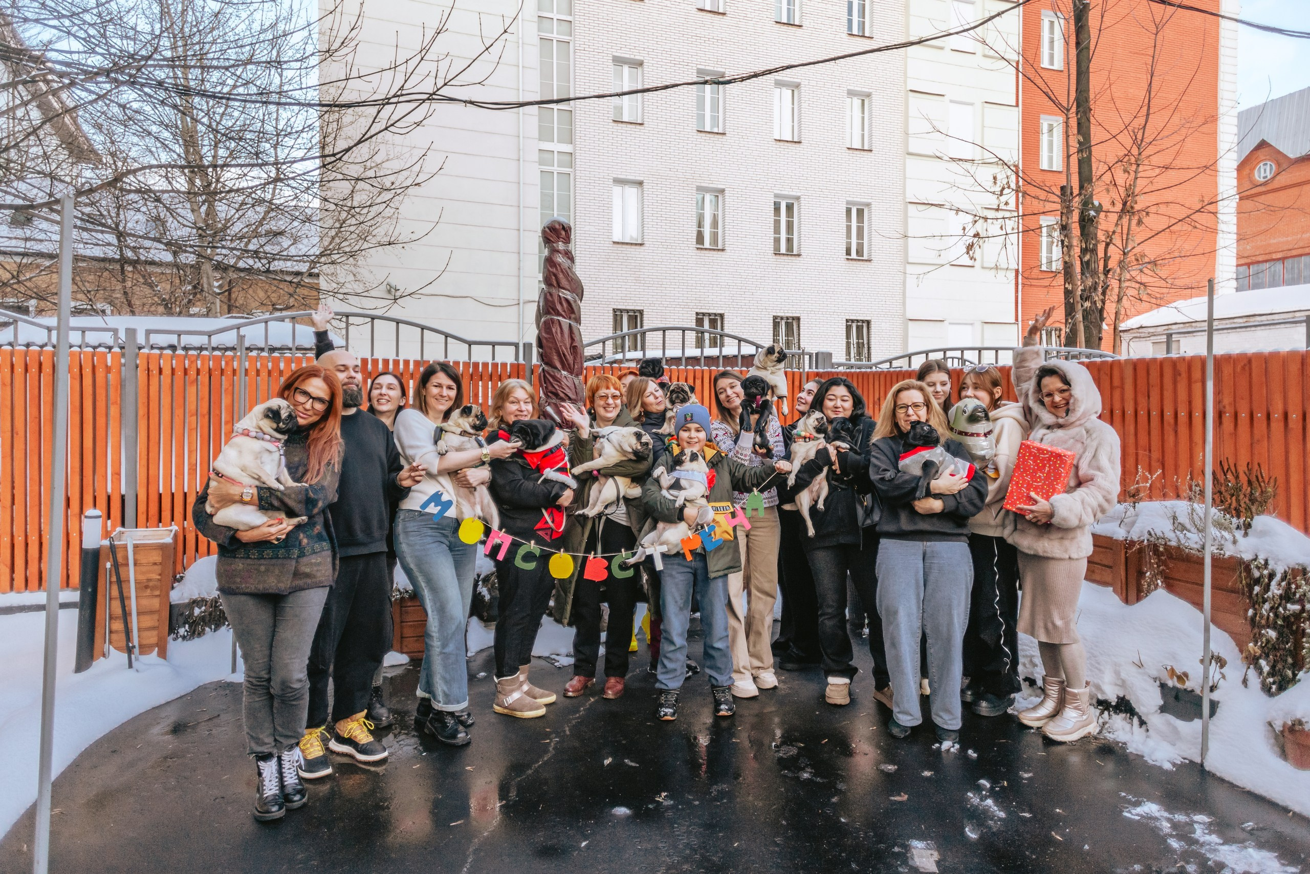 Мопсовстреча 02.12.2023. Фотограф-анималист Татьяна Степанова