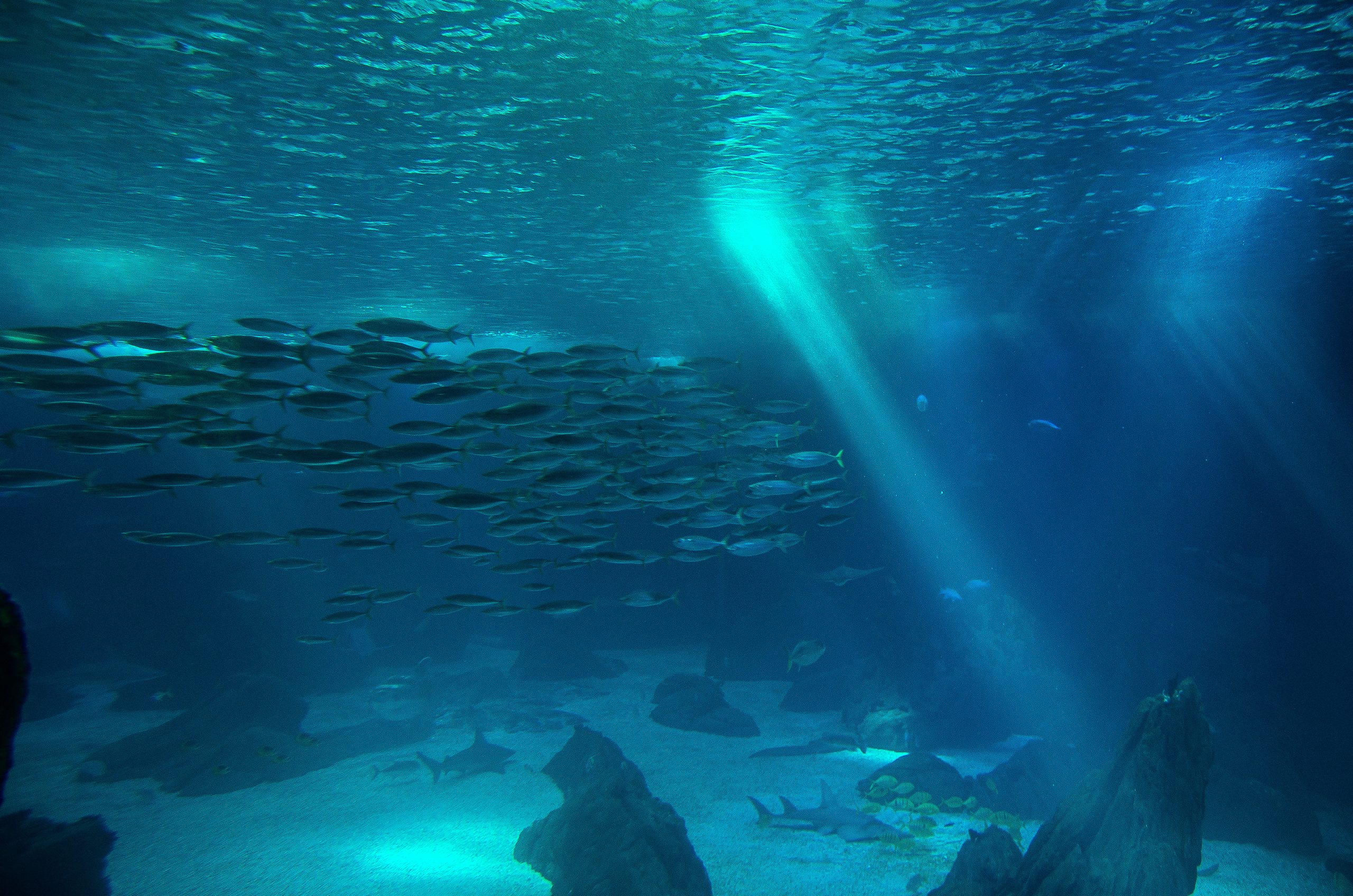 Лиссабон (октябрь 2017). Фотограф Таинства Крещения в Саратове Ильченко Артем
