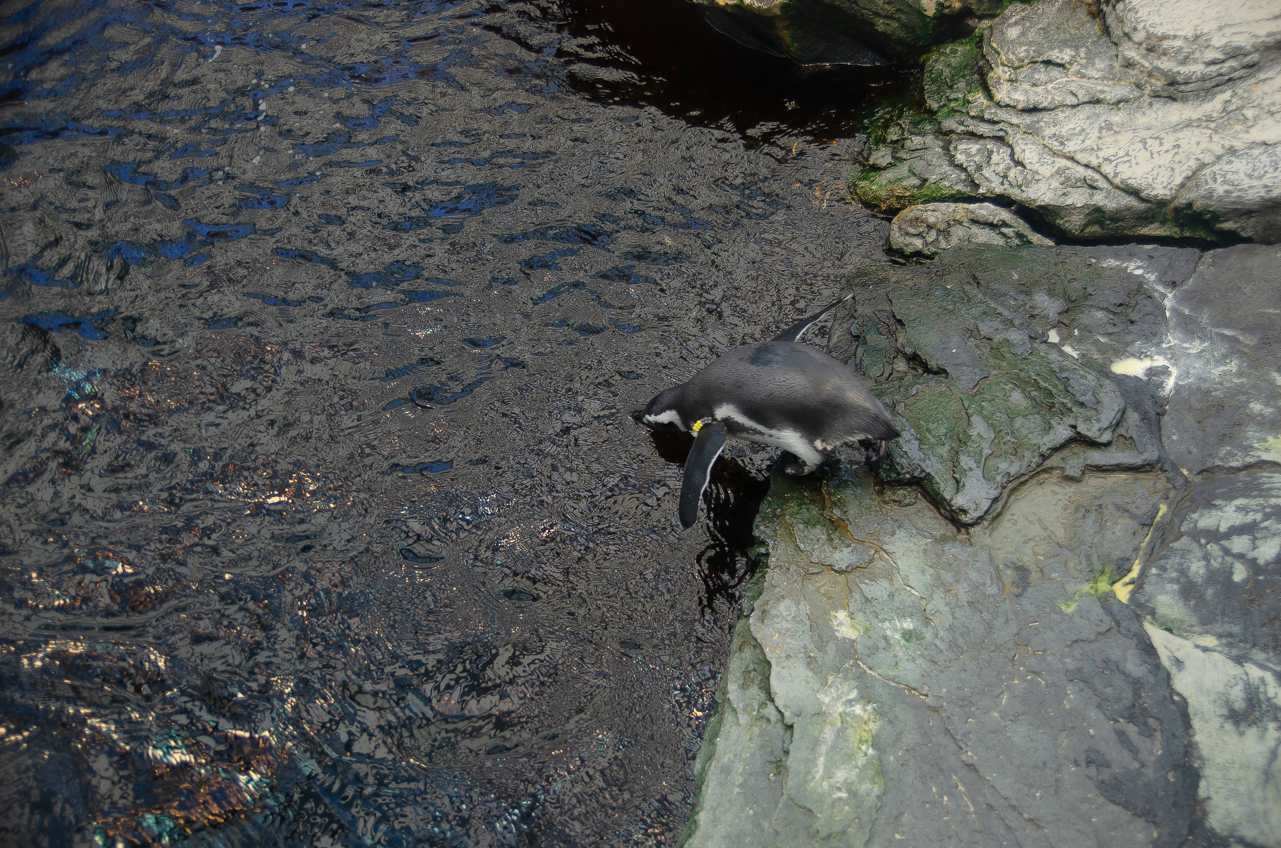 Лиссабон (октябрь 2017). Фотограф Таинства Крещения в Саратове Ильченко Артем