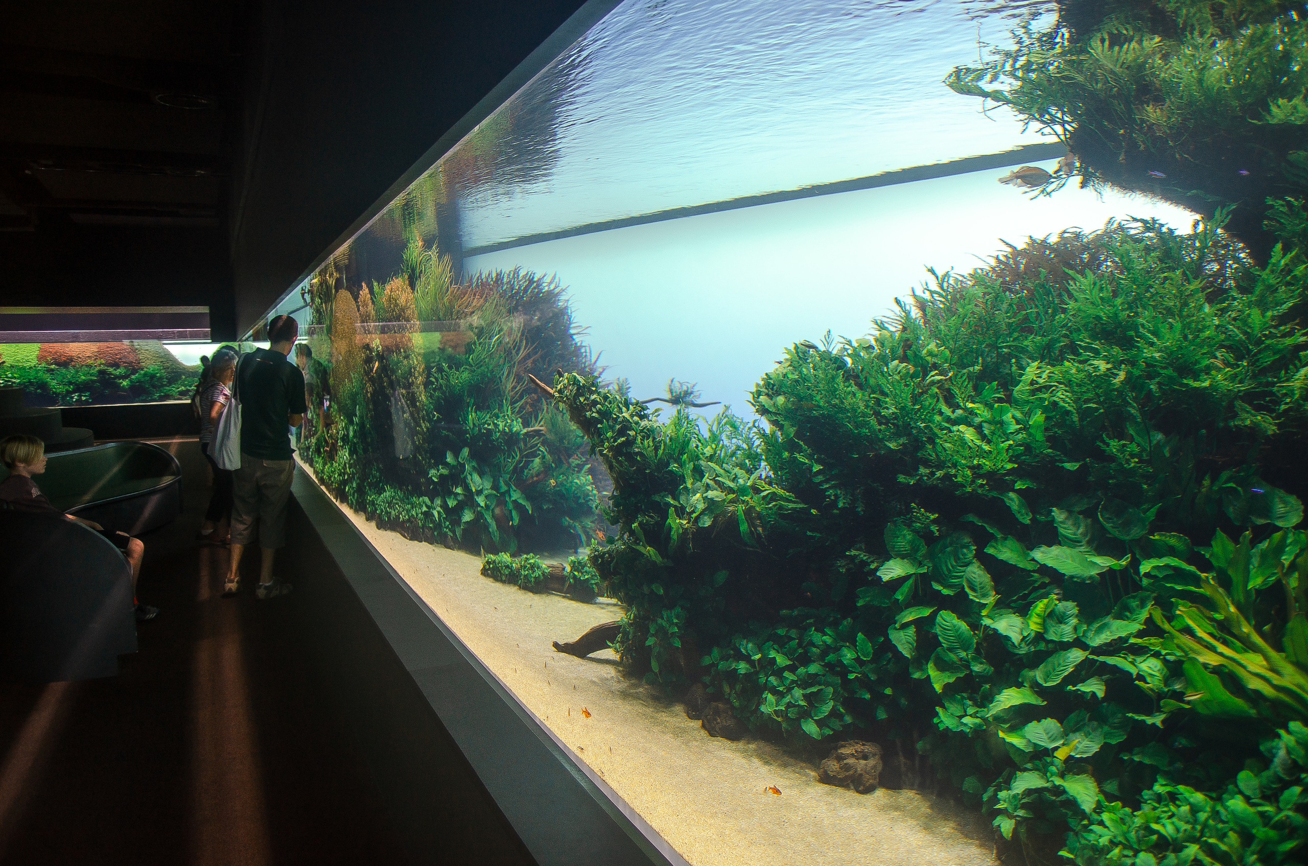 Лиссабон (октябрь 2017). Фотограф Таинства Крещения в Саратове Ильченко Артем