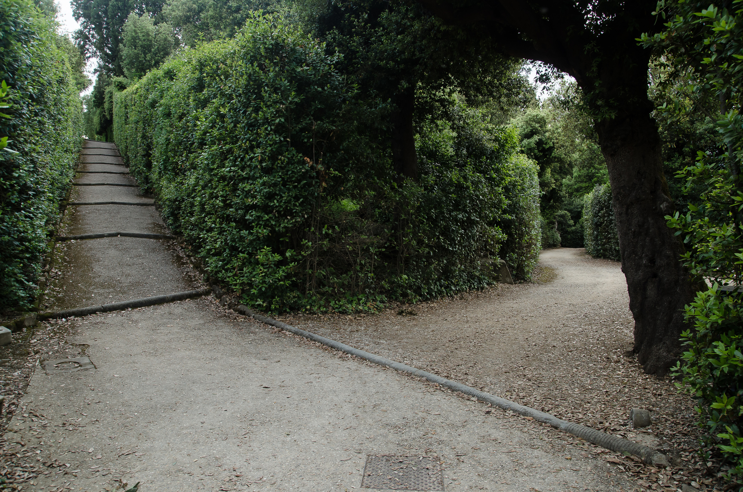 Флоренция (май 2015). Фотограф Таинства Крещения в Саратове Ильченко Артем