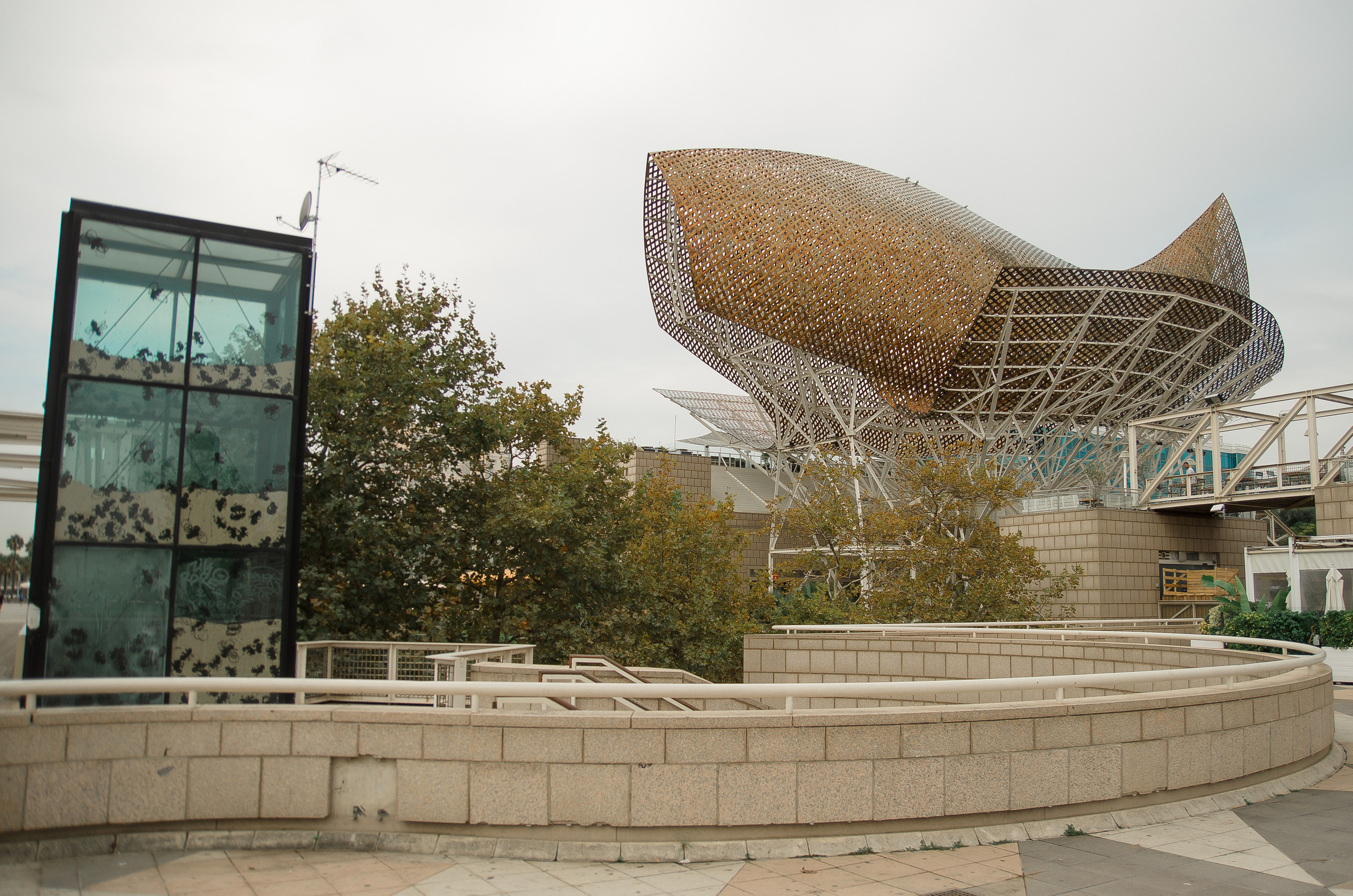 Барселона (октябрь 2017). Фотограф Таинства Крещения в Саратове Ильченко Артем