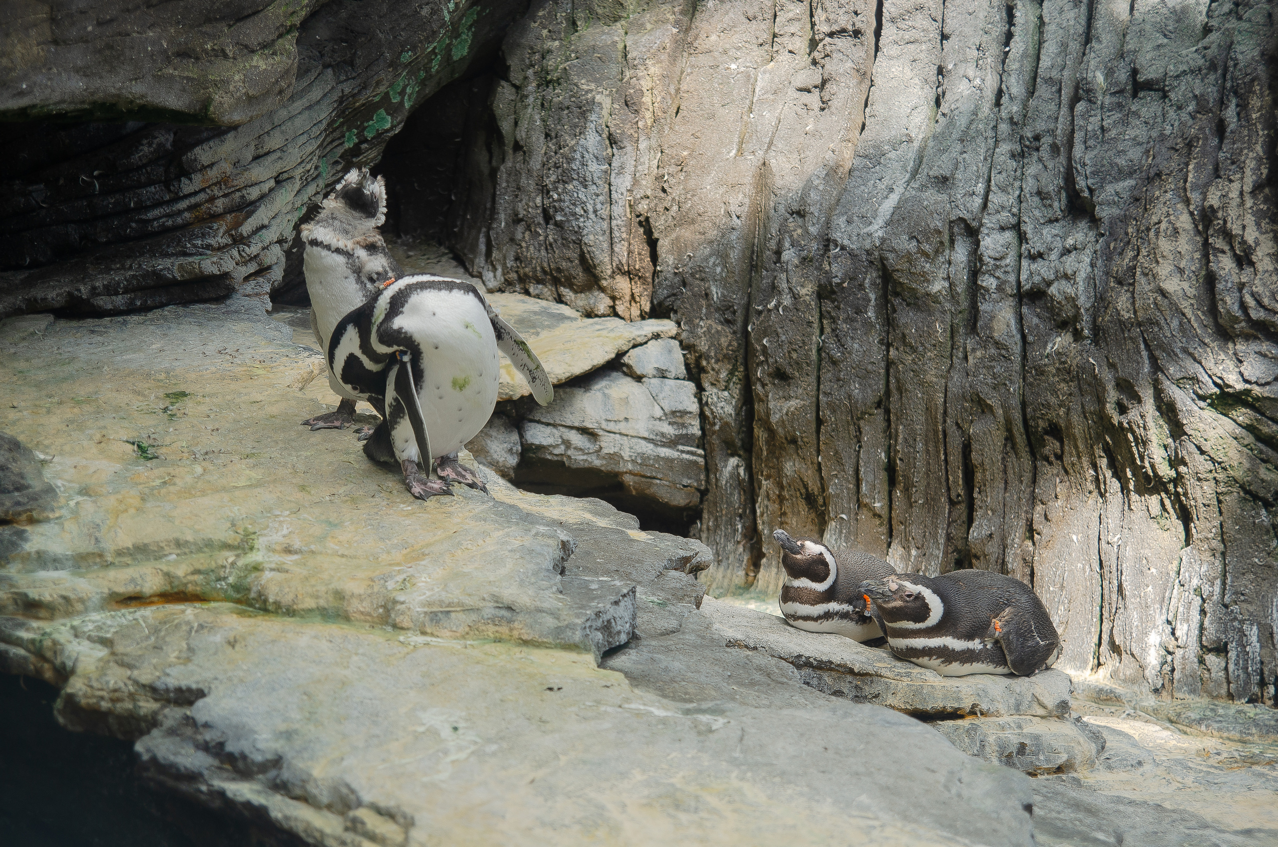 Лиссабон (октябрь 2017). Фотограф Таинства Крещения в Саратове Ильченко Артем