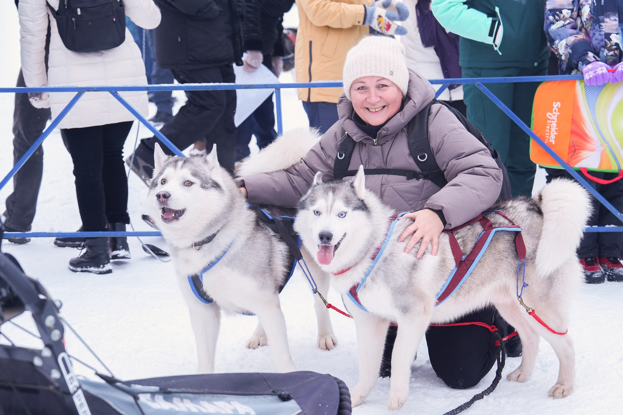 Рождественские гонки на собаках. Т/б «Чайка». Семейный фотограф Владимир Просвиркин. г. Самара