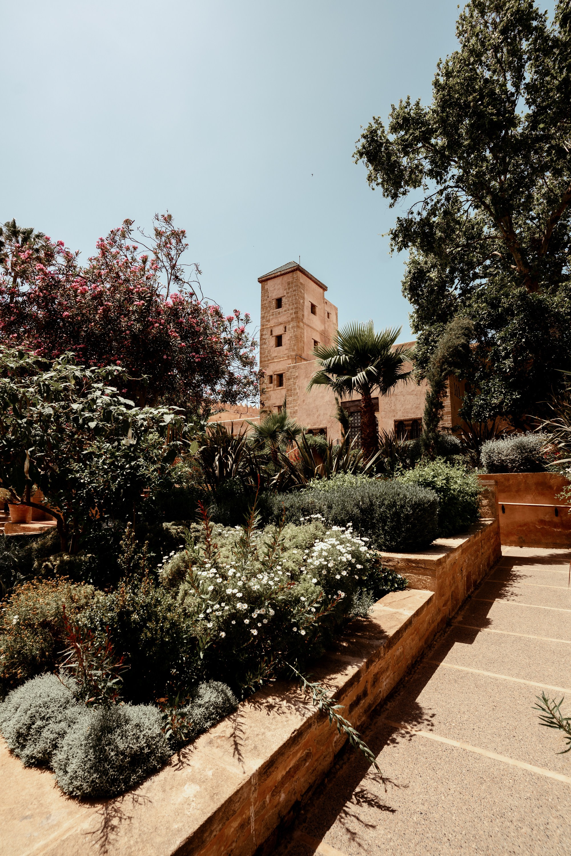 Северная Африка: Тунис, Марокко. Фотограф в Хабаровске. Фотография за 24 часа