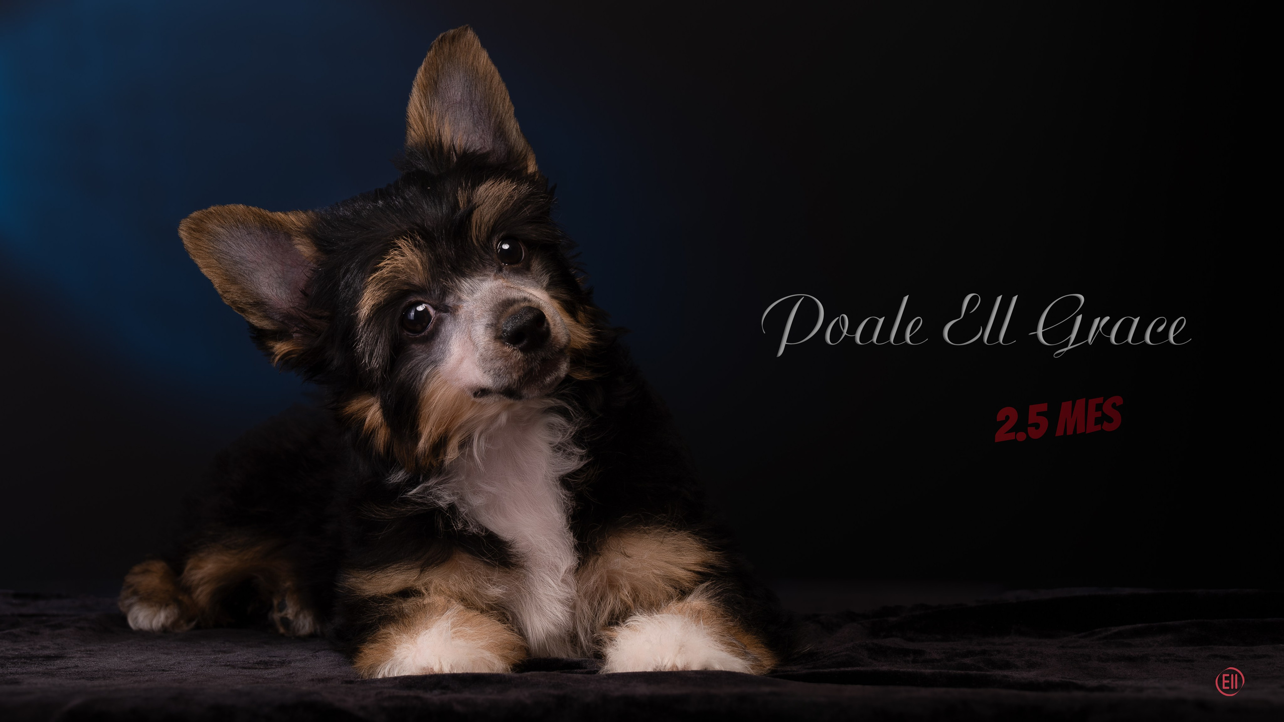 07.06.2025 Синяя фотосессия. Фотограф в Москве