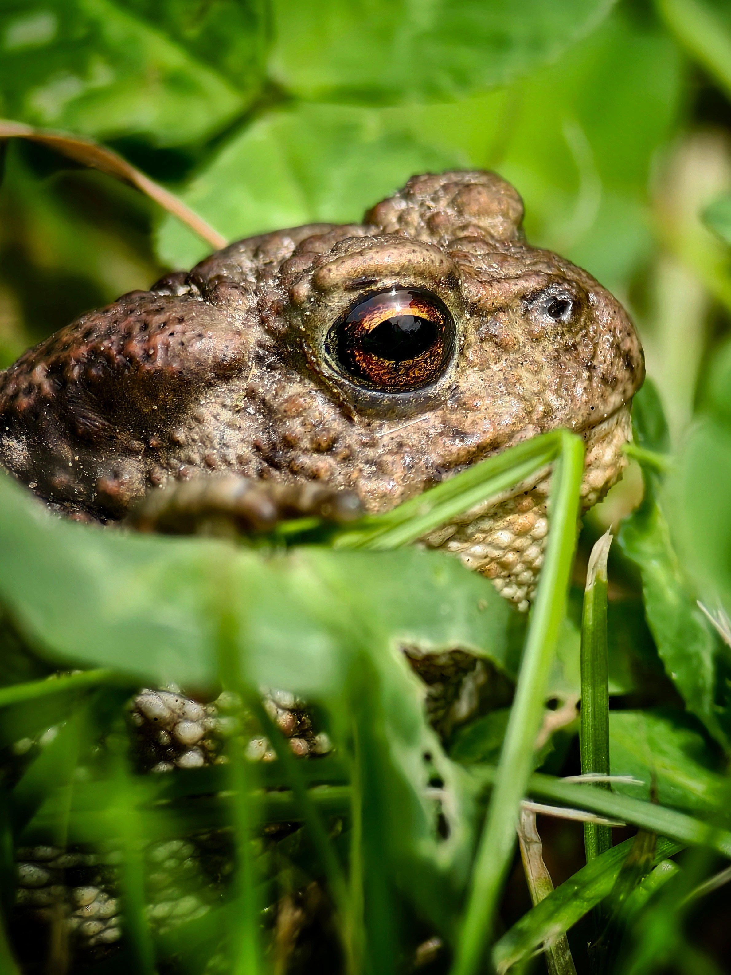 Большое в малом