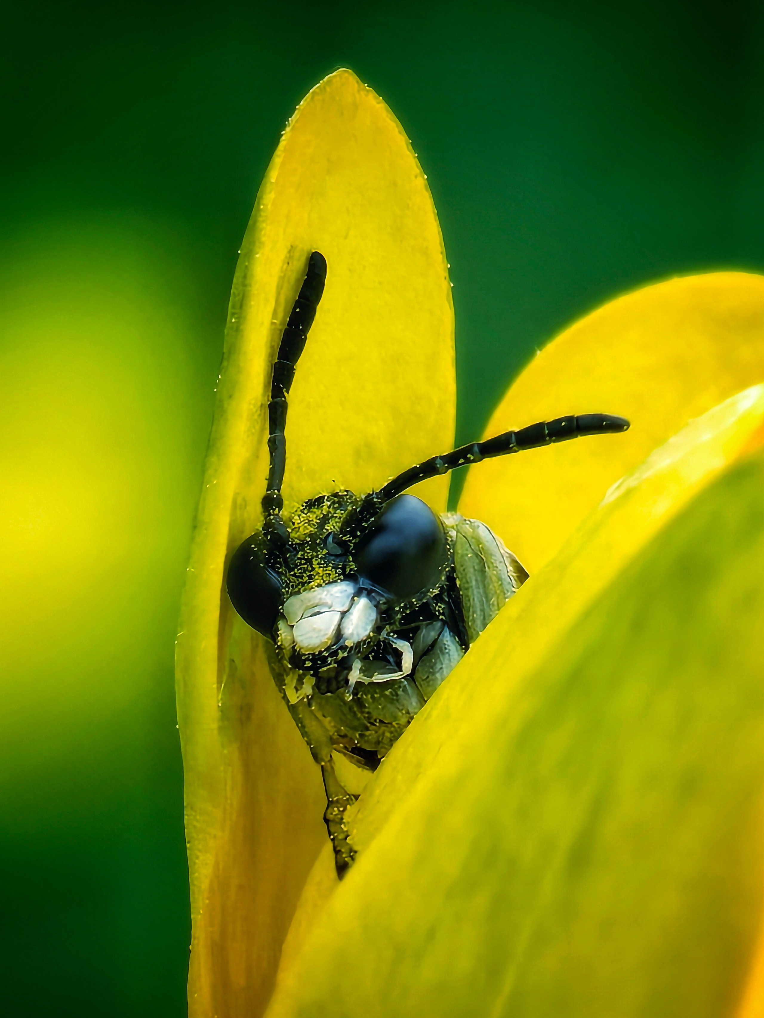 Большое в малом