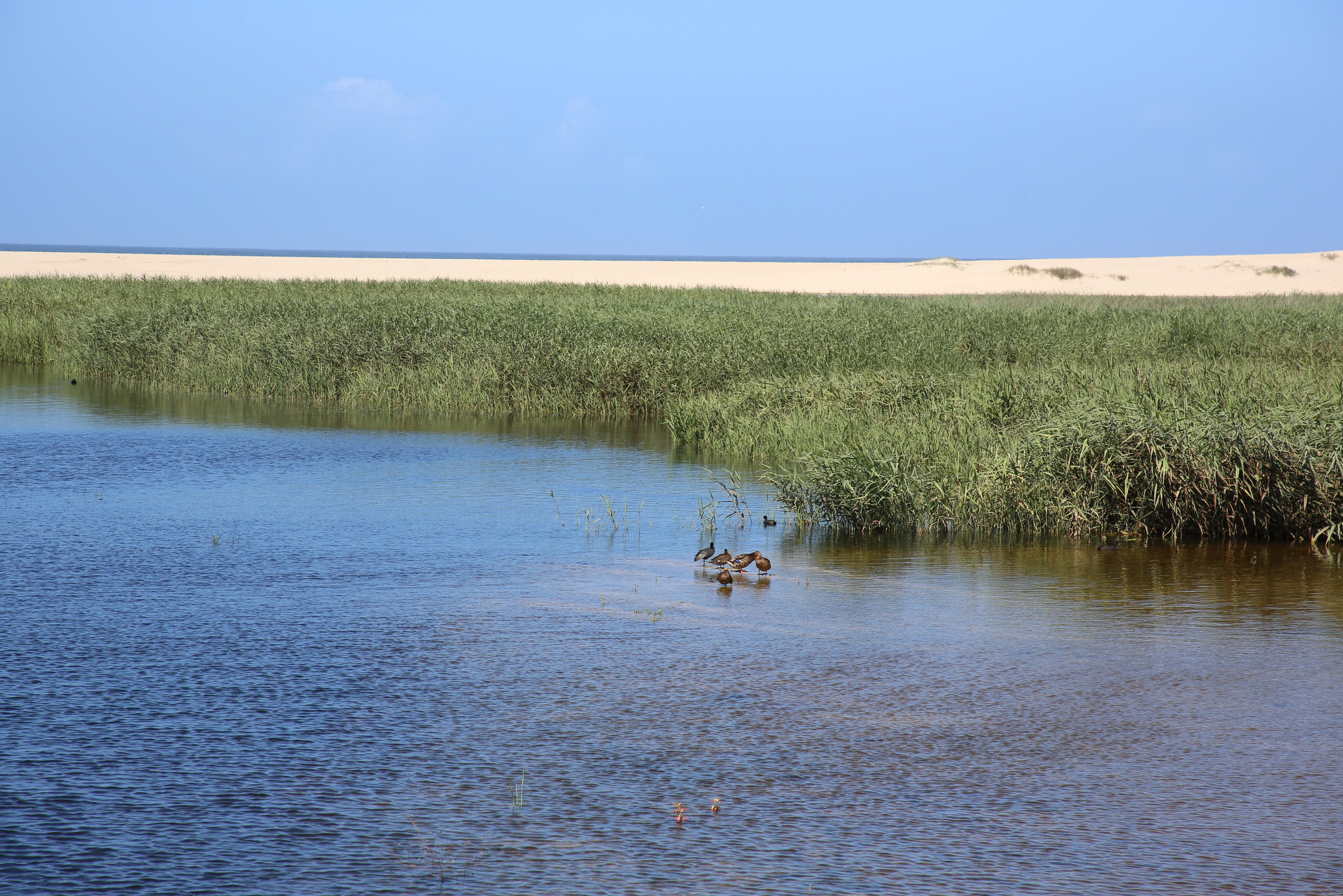 Esmoriz, Portugal. Andrey Filippov Photographer