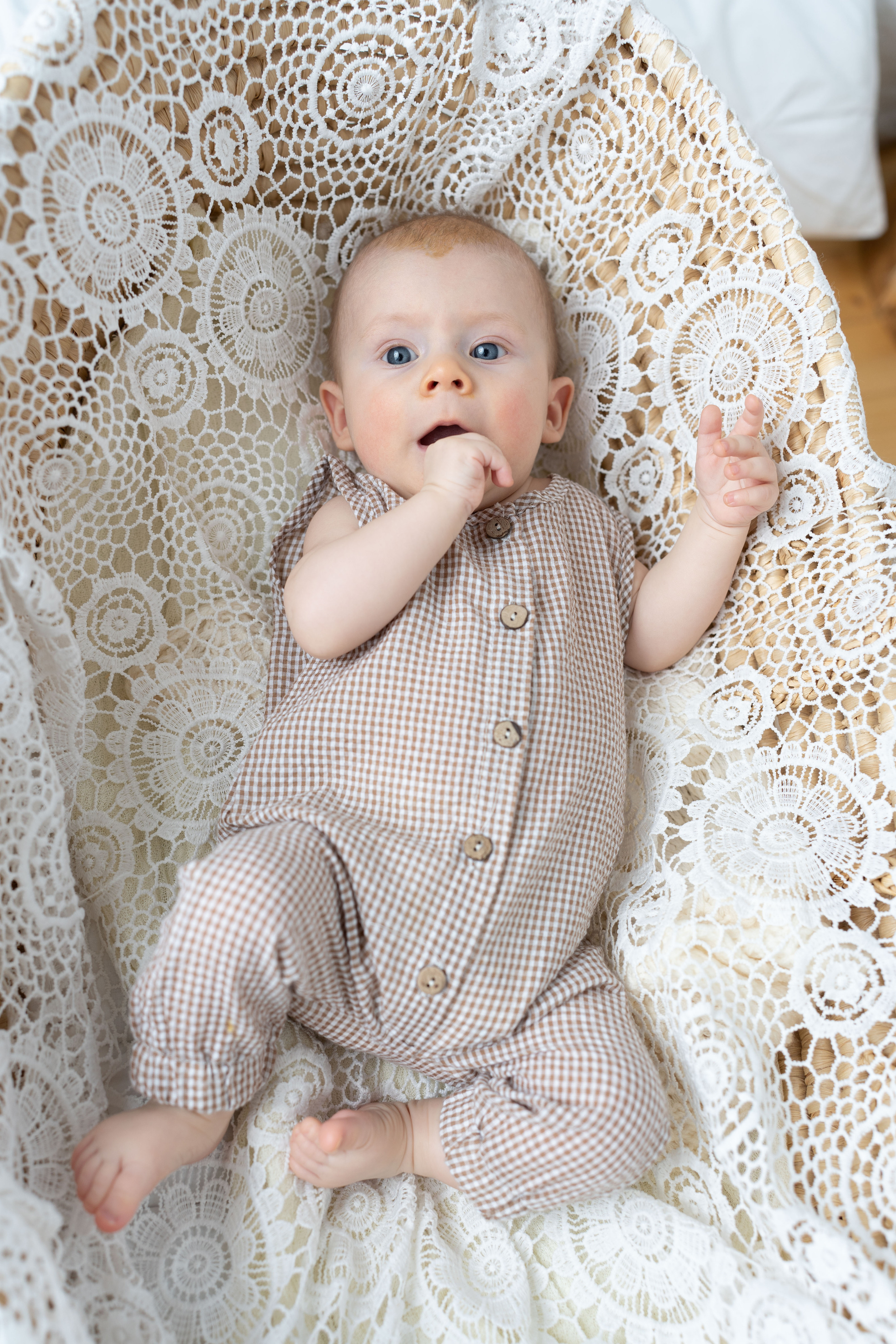 Семейная, Новогодняя, фотосессия. (Майкл, Амелия, Лариса, Данеил). Семейный фотограф в Москве Светлана Немкина