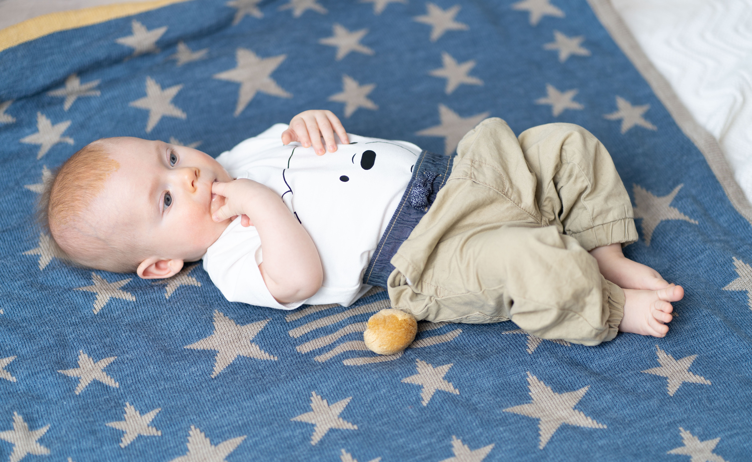 Семейная, Новогодняя, фотосессия. (Майкл, Амелия, Лариса, Данеил). Семейный фотограф в Москве Светлана Немкина