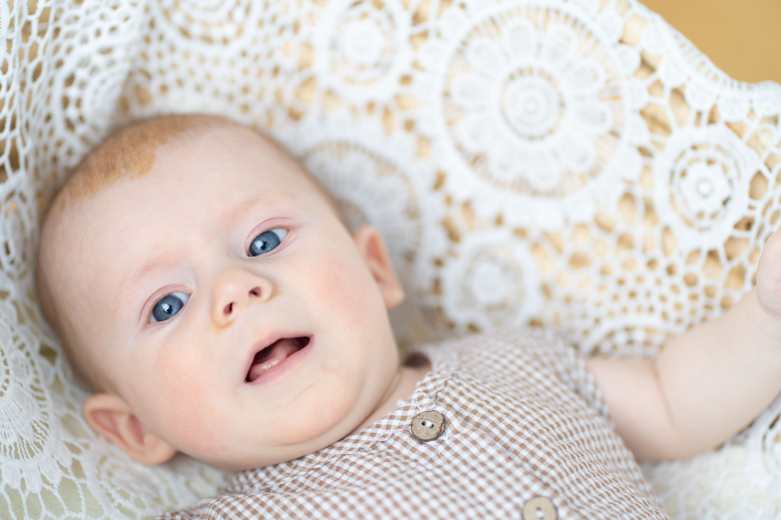 Семейная, Новогодняя, фотосессия. (Майкл, Амелия, Лариса, Данеил). Семейный фотограф в Москве Светлана Немкина