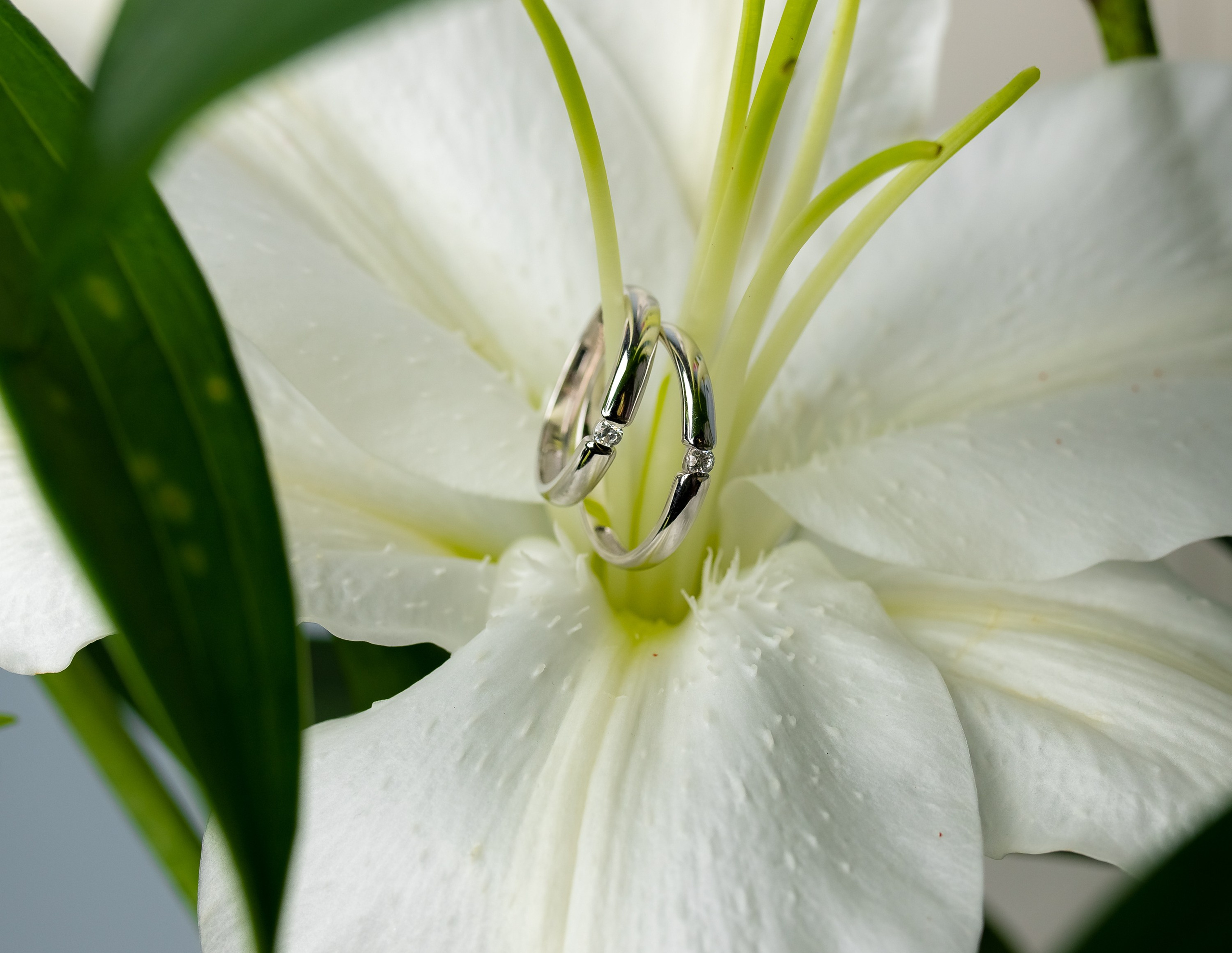 Анастасия и Евгений. ProfotoNK